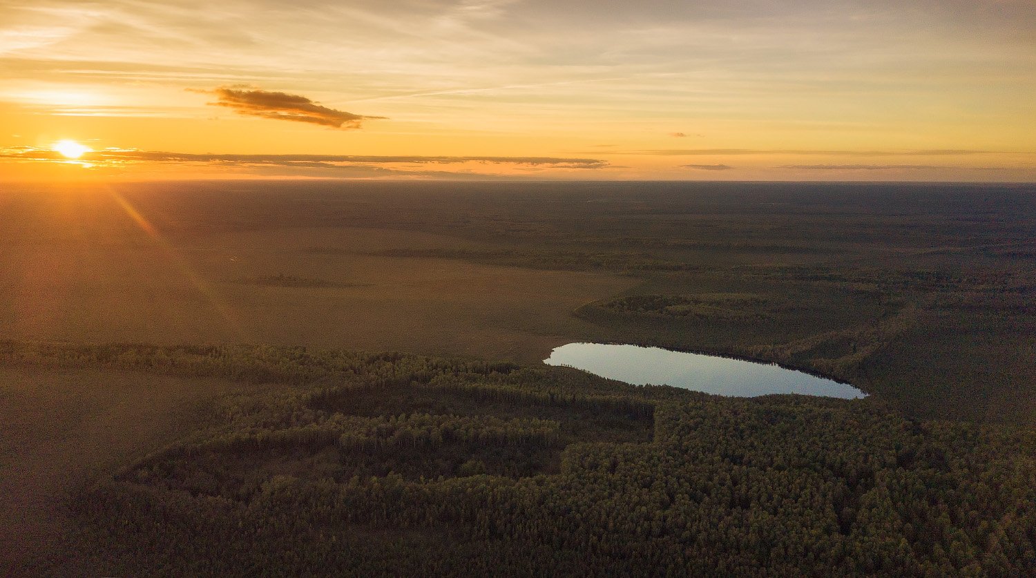 Новгородская область озеро Вяжицкое
