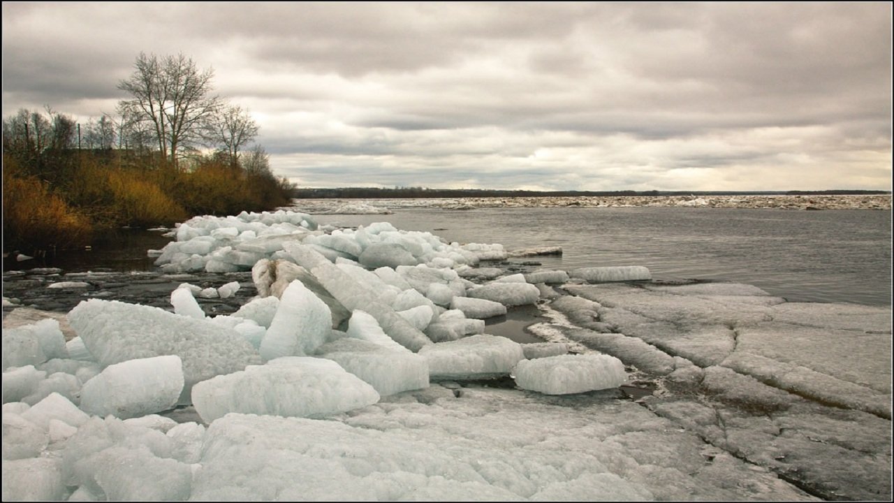 Начало ледохода реки. Ледоход Северные реки. Ледоход Витим. Ледоход на речке. Ледоход на Северной Двине 2023.