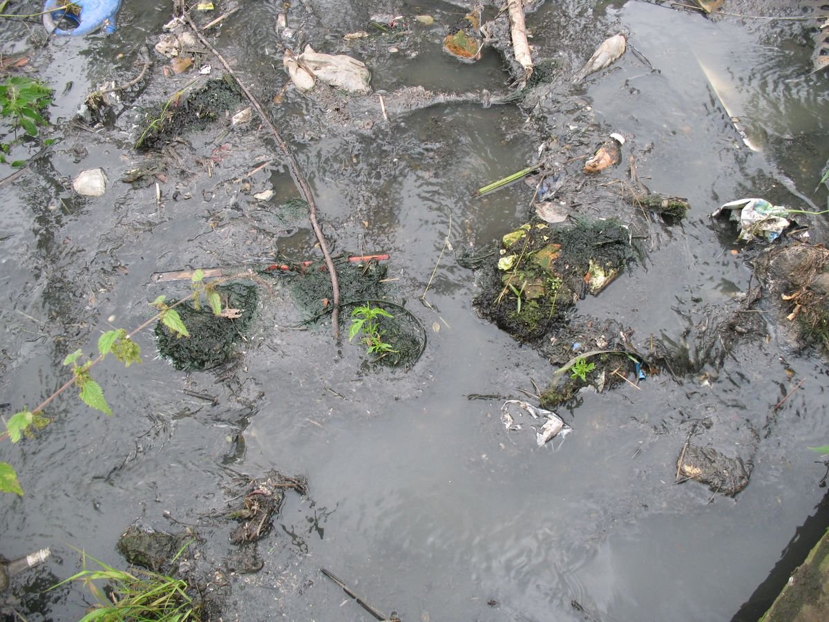 Река Сарапулка загрязненная