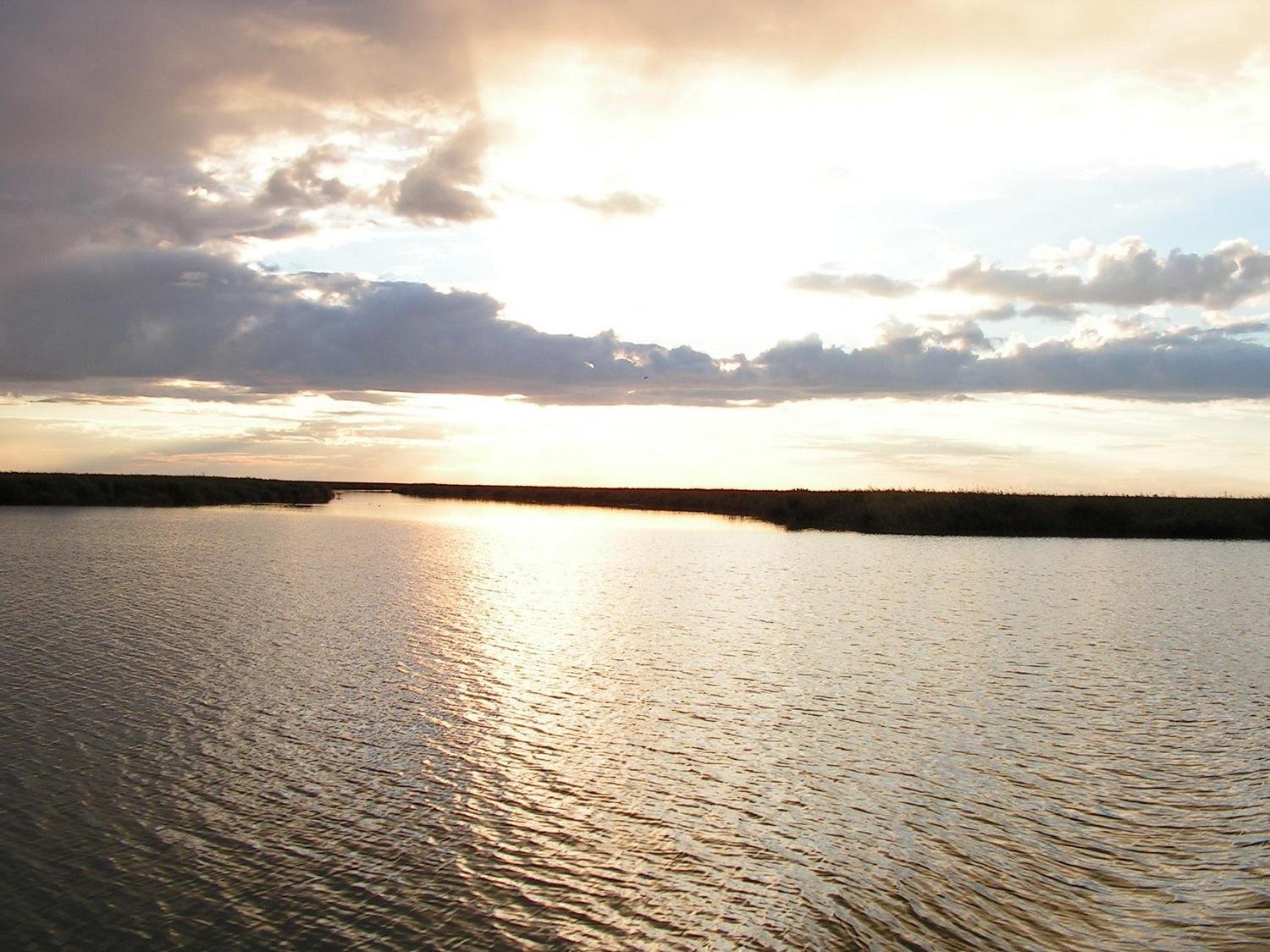 Озеро чаны в новосибирской области
