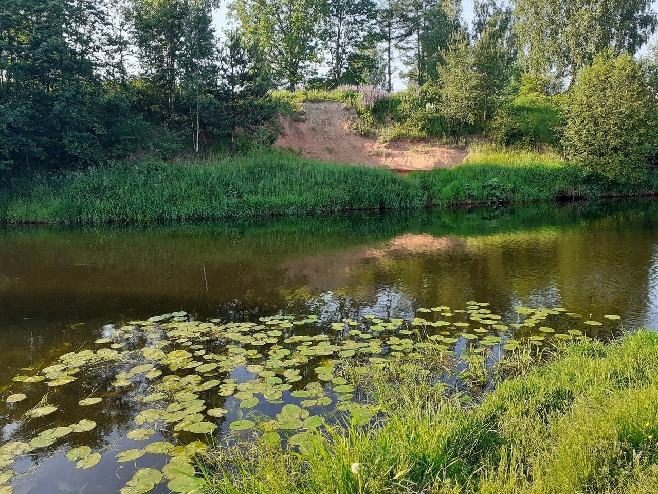 Река Оредеж в Вырице Ленинградской