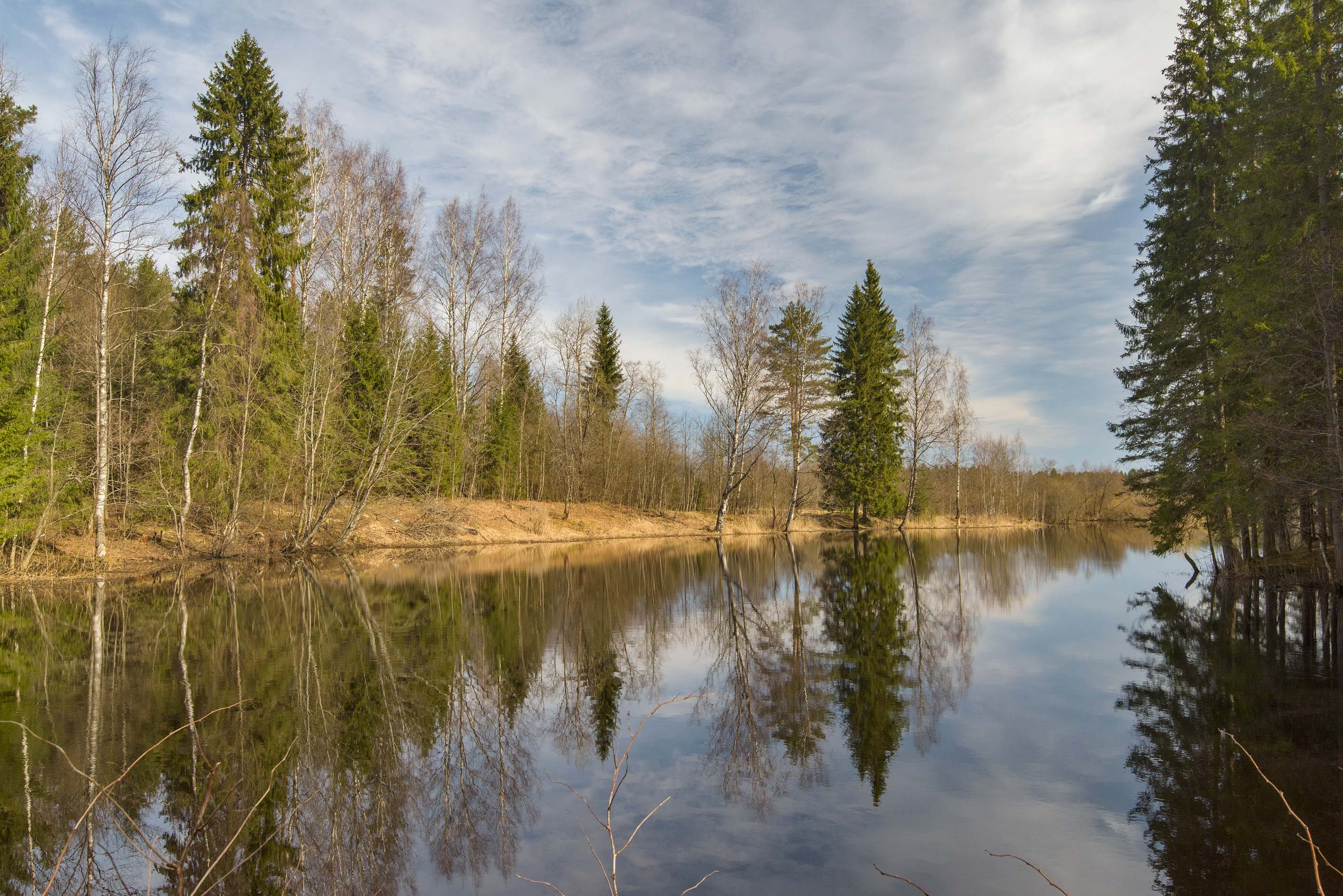 Река Оредеж