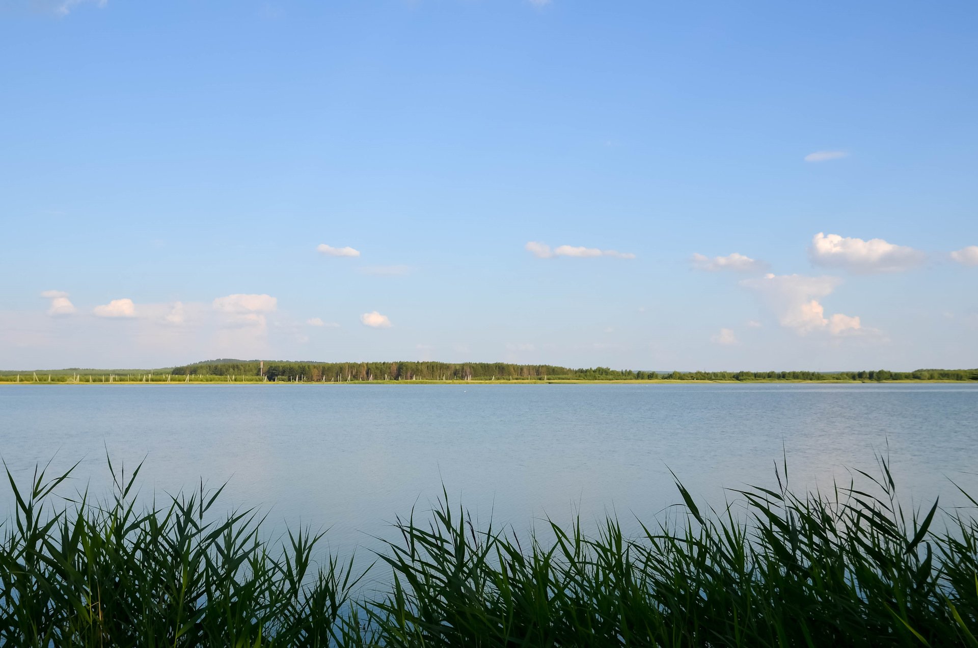 Белолебяжье озеро Майнский район