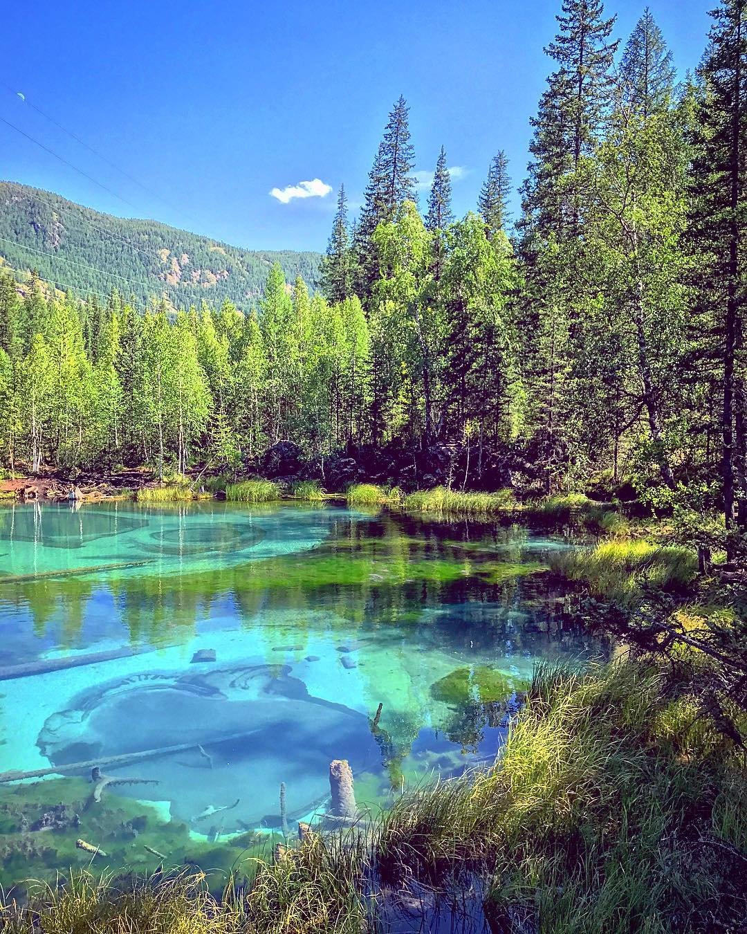 Красивые озеры. Гейзерное озеро Алтай. Голубые озера горный Алтай. Аскатские голубые озера горный Алтай. Голубое озеро Алтай Акташ.