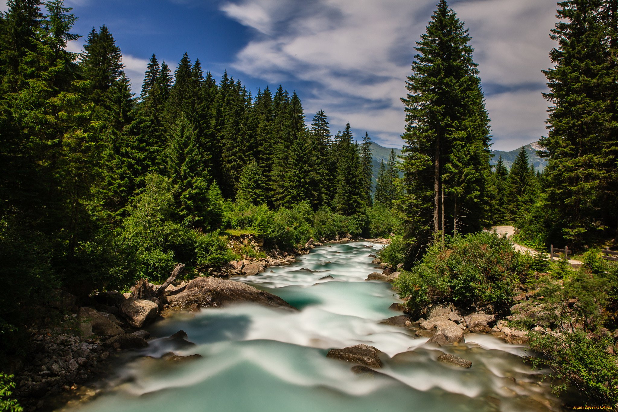 Зона тайги воды. Горные реки Австрии. Река Мерсед. Австрийская Горная река. Хвойный лес и Горная река горный Алтай.