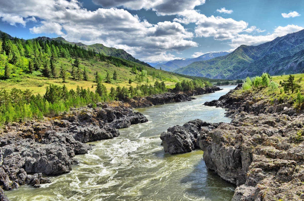 Горный алтай фото летом катунь