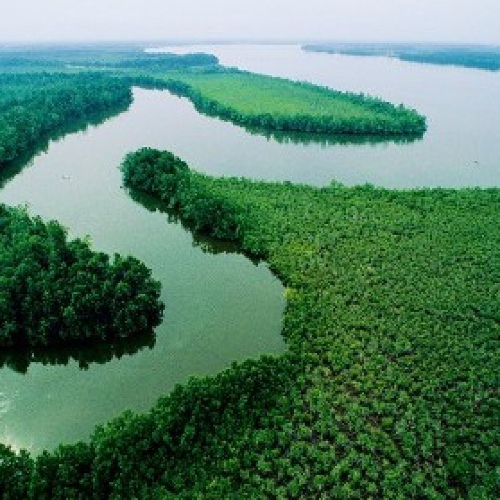Озера старицы на Амазонке