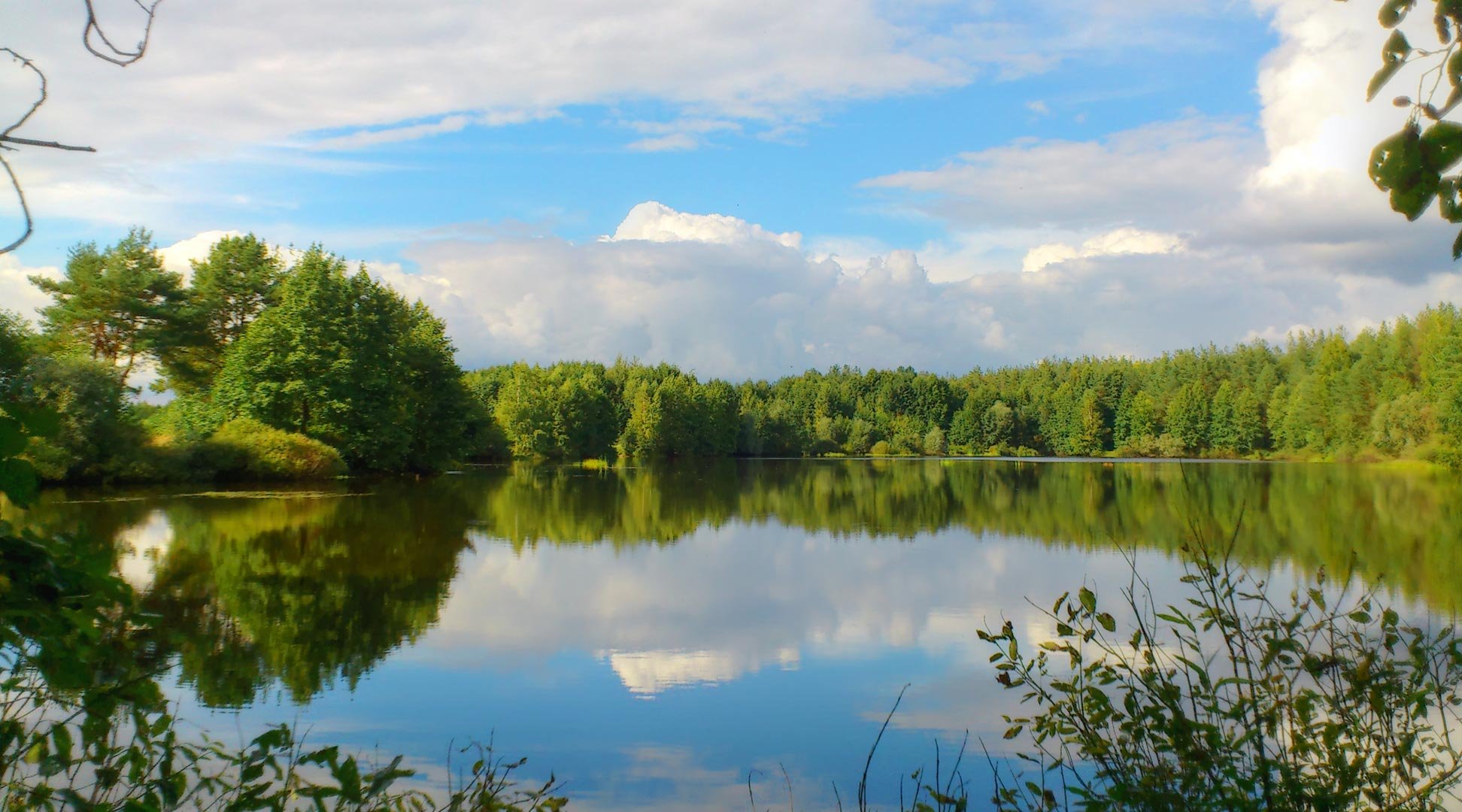 Чёрное озеро Щелковский район