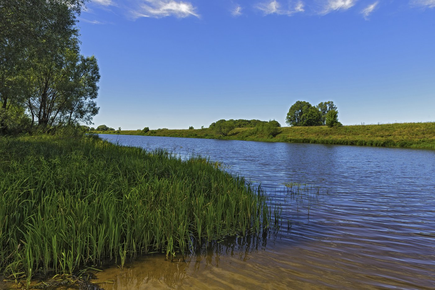 река в рязани