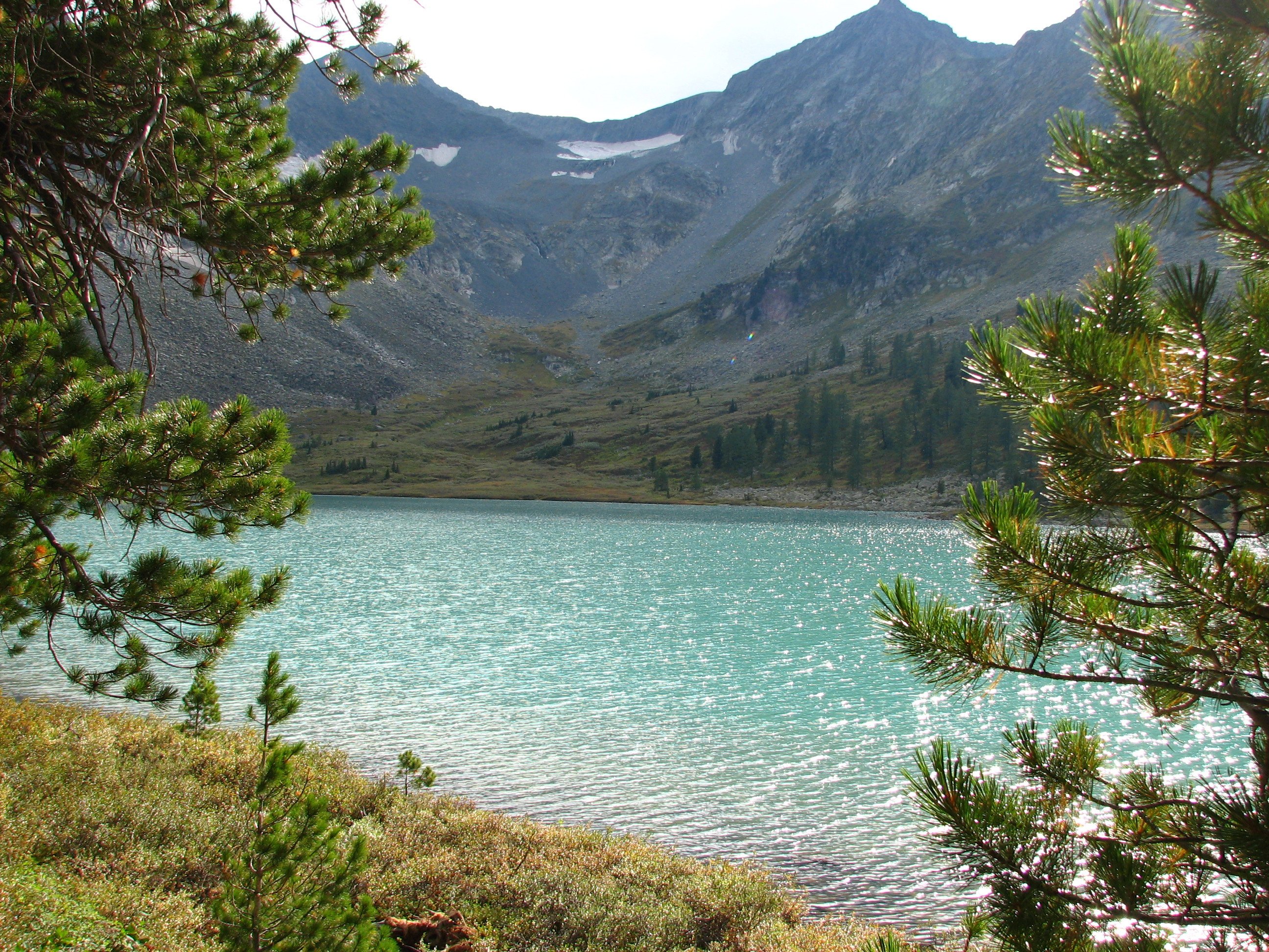 4 озера на алтае. Озеро крепкое горный Алтай. Мультинские озера. Мертвое озеро горный Алтай Акташ. Мультинские озера Алтай.