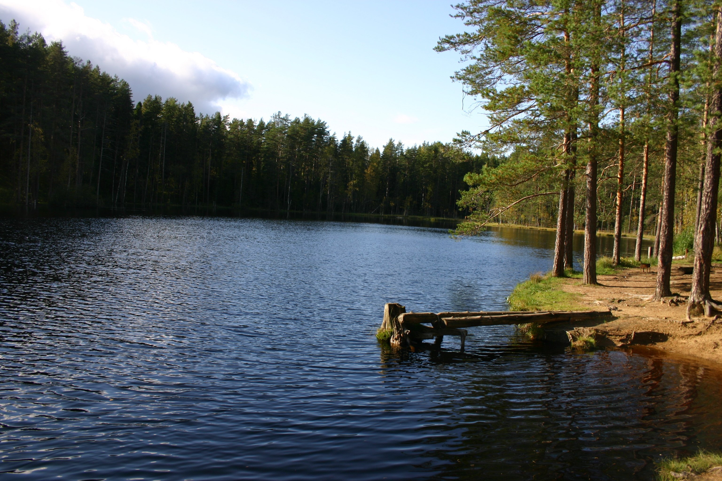 Lake отзывы. Озеро Липовское Кингисеппский. Белое озеро Ленинградская область. Озеро белое Кингисеппский. Белое озеро Ленинградская область Кингисеппский район.