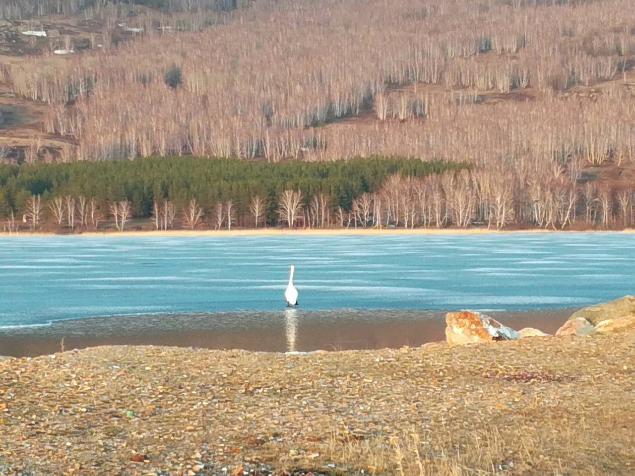 озеро талкас башкирия базы отдыха