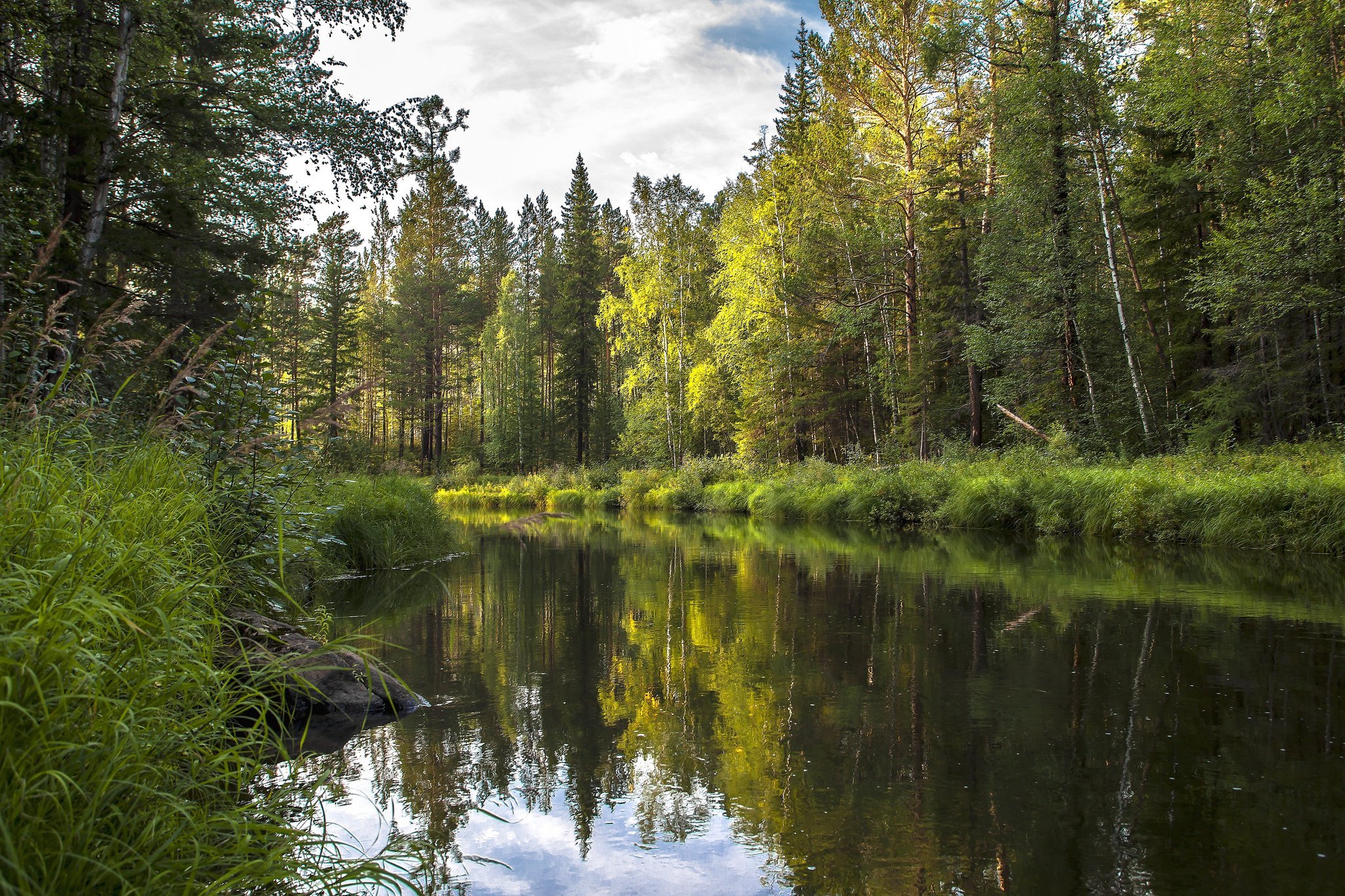 Фото природы лес река