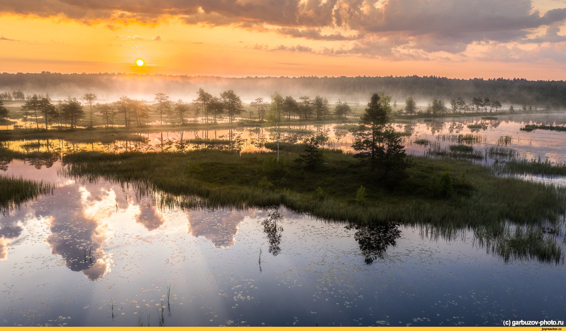 Галкинские болота в Калужской области