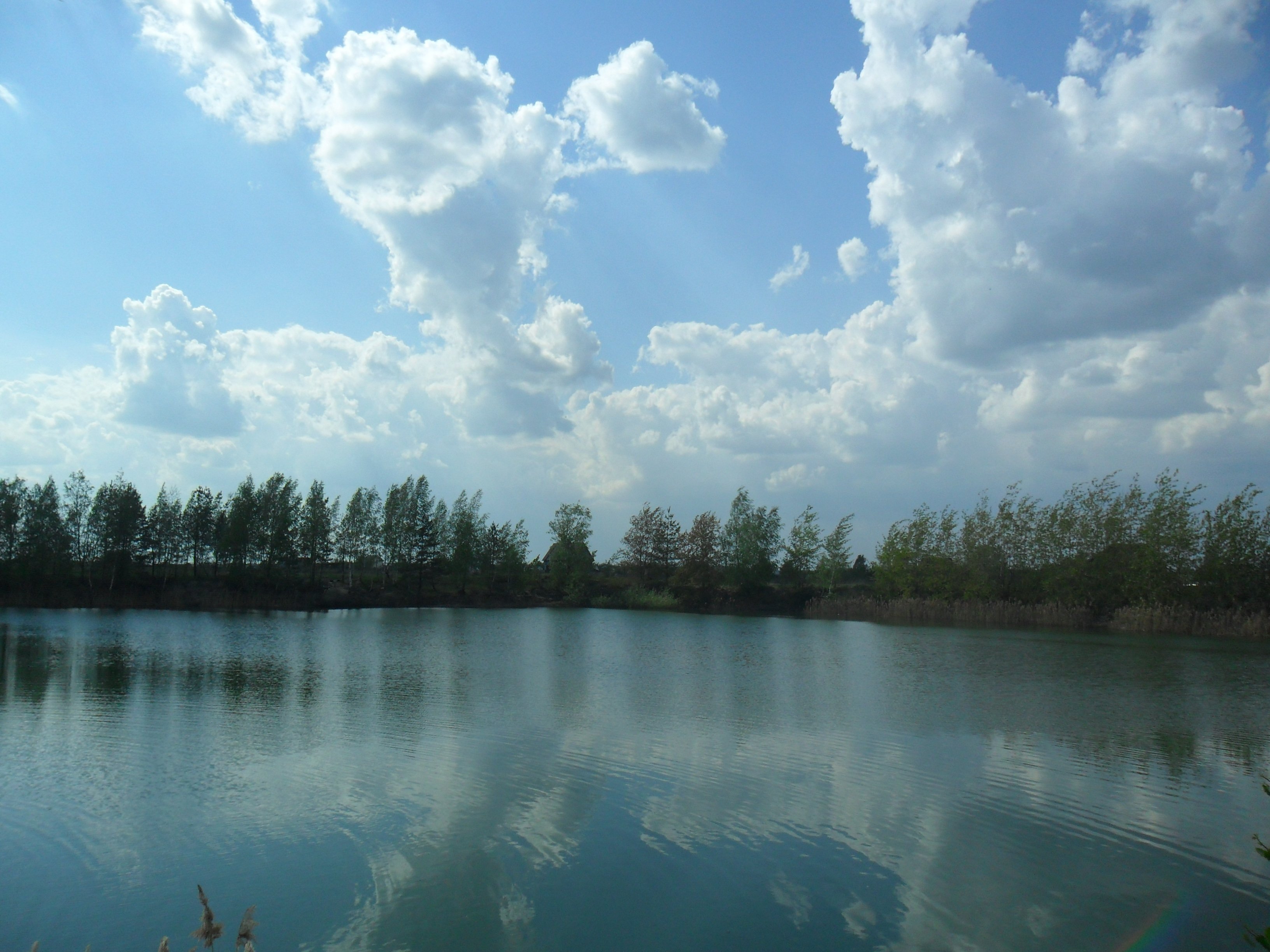Голубое озеро московская. Поселок Фосфоритный голубое озеро. Фосфоритный Воскресенск голубое озеро. Воскресенское Фосфоритный озеро. Голубое озеро Московская область Воскресенский.