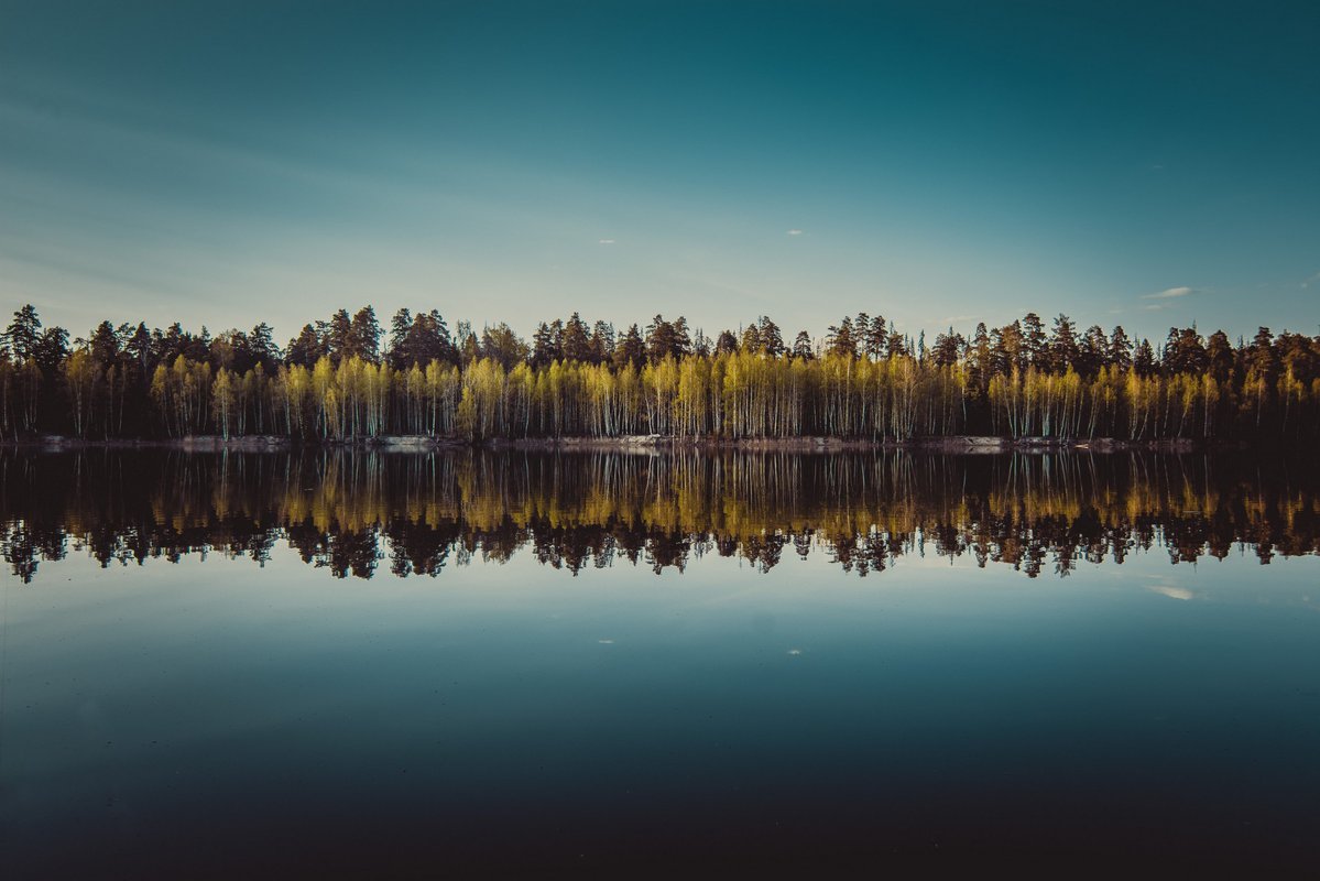 Северные озера. Черноголовка озеро. Южное озеро Черноголовка. Черноголовка Московская область озеро Северное. Черное озеро Черноголовка.