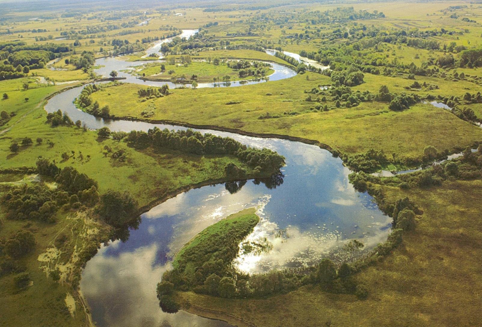 Сейм фото. Река Сейм Рыльск. Река Сейм Курск. Река Сейм Курская область с высоты.