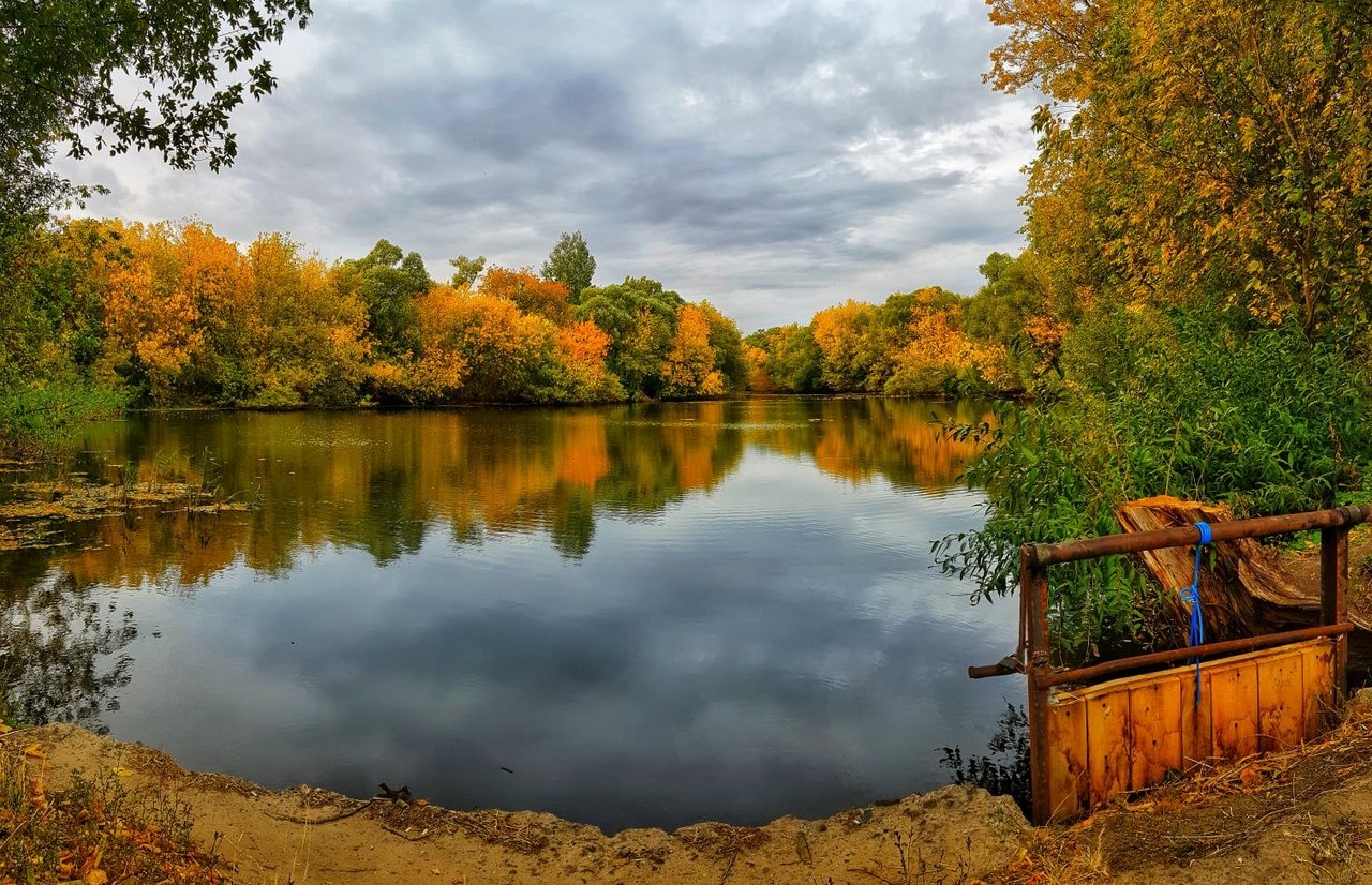 курск река сейм