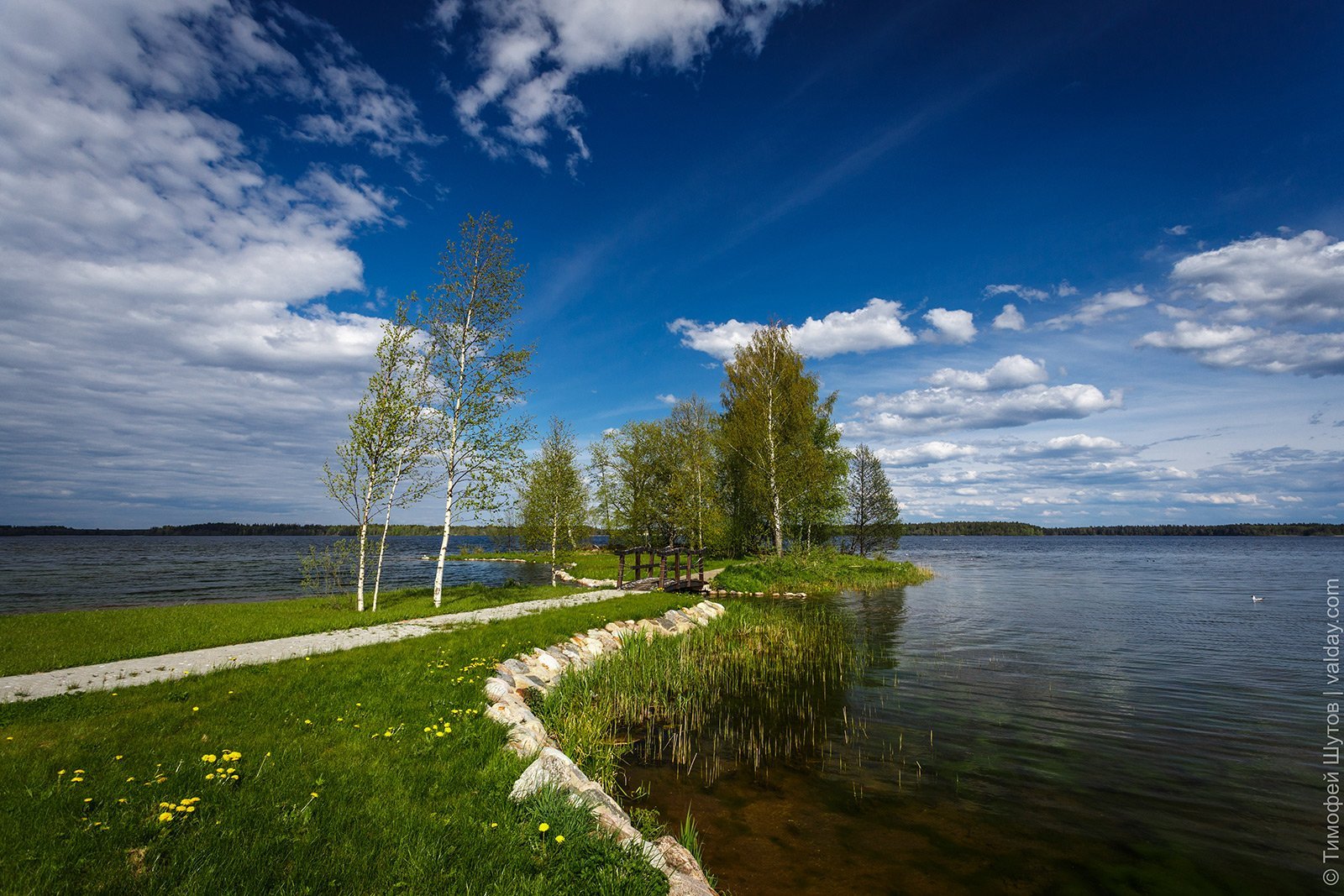 Озеро велье новгородская область фото