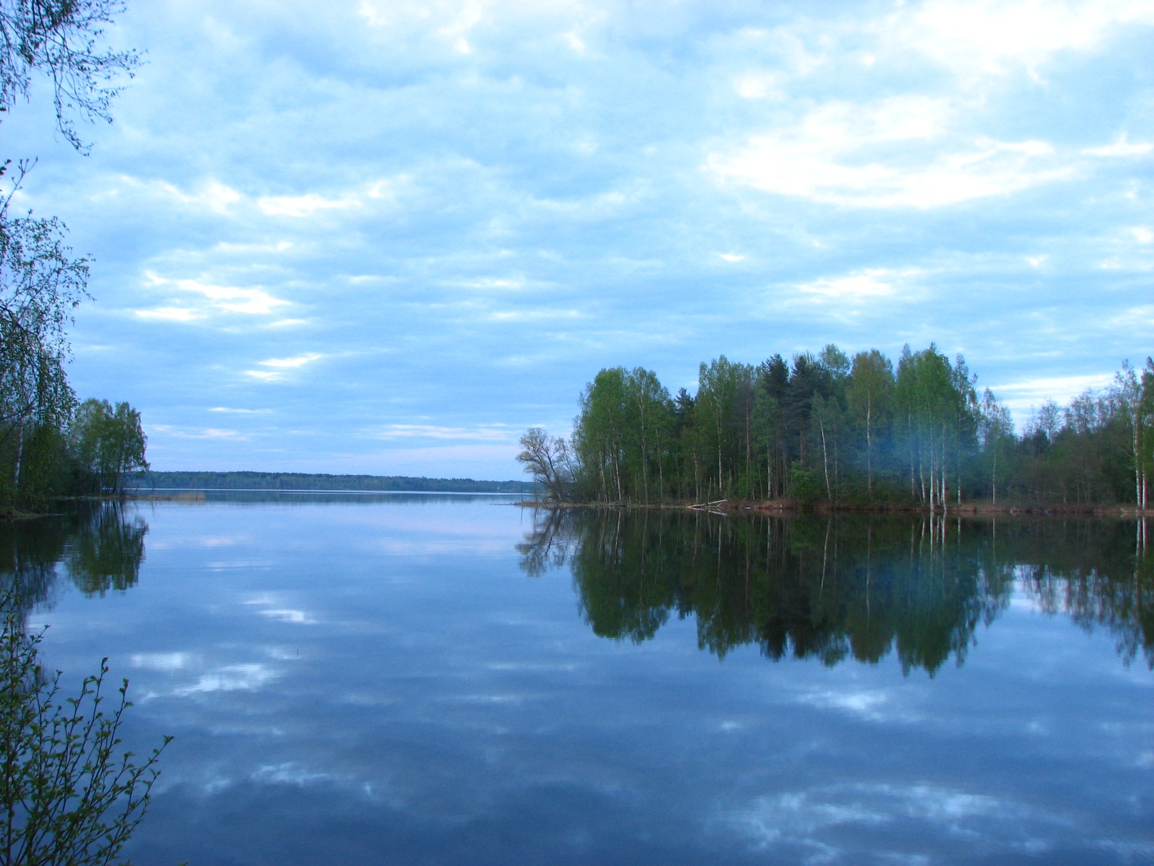 Купить озеро в новгородской области. Озеро вельё Валдай. Озеро вельё Новгородская. Озеро вельё Валдайский район. Озеро Велье Бокситогорский район.
