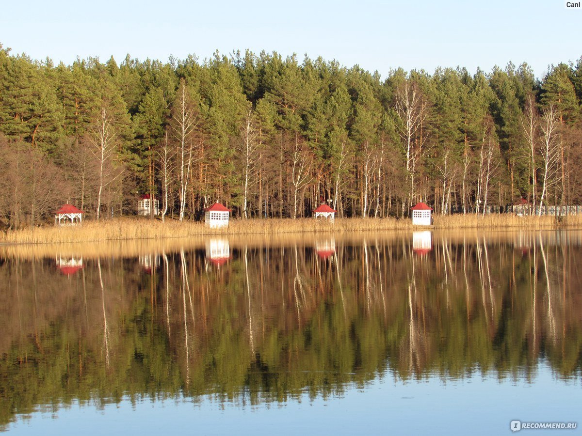 Озеро белое шатурский район фото