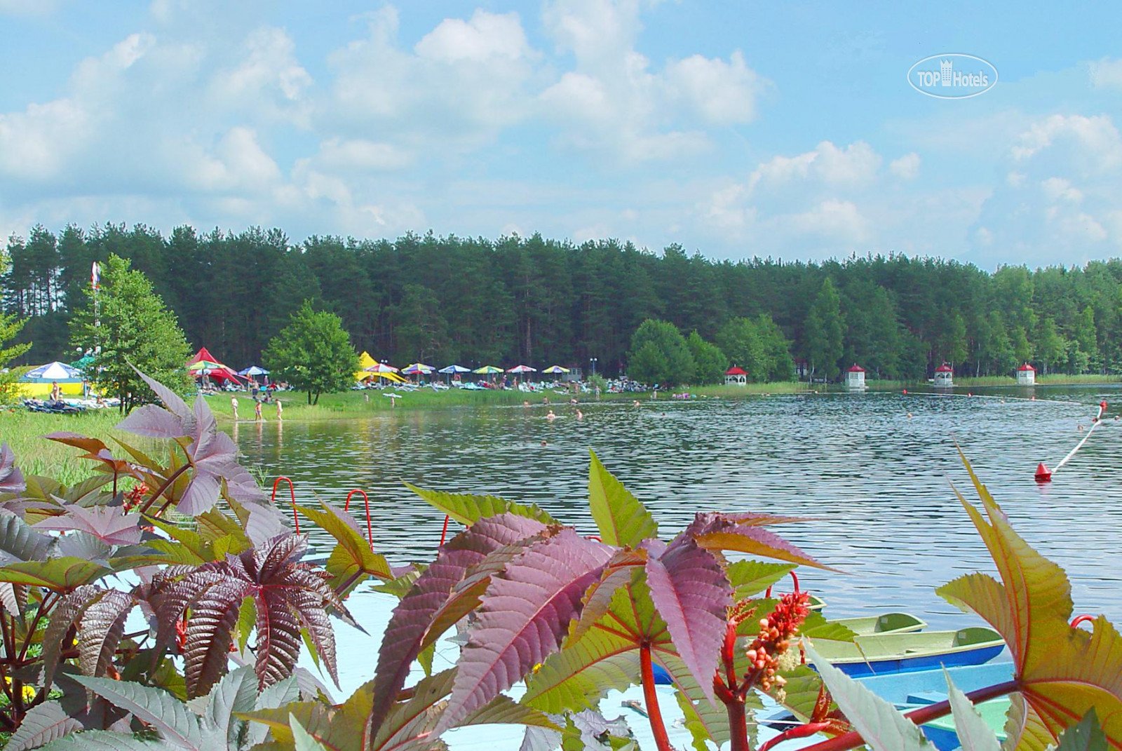 Озеро белое шатурский район фото