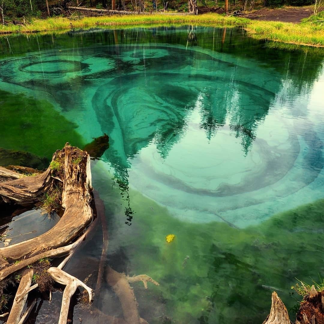 Комплекс голубые озера. Природный парк голубые озера Камчатка. Чемал Гейзеровое озеро. Голубые озера горный Алтай. Голубые озёра Камчатский край.
