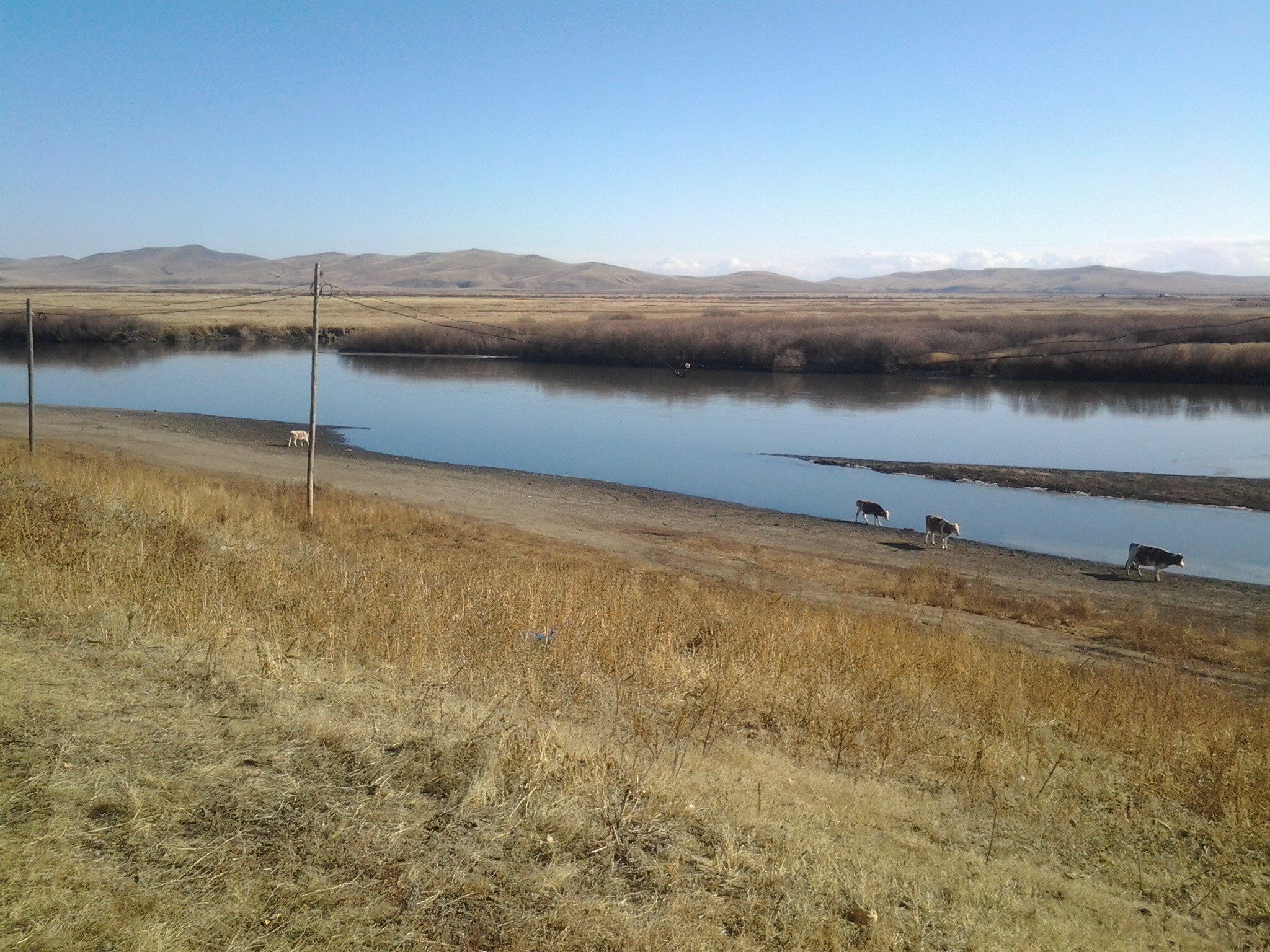 Кыра. Село Хара Бырка Забайкальский край. Аргунь Приаргунск. Река Аргунь в Забайкальском крае. Река Аргунь Приаргунск.