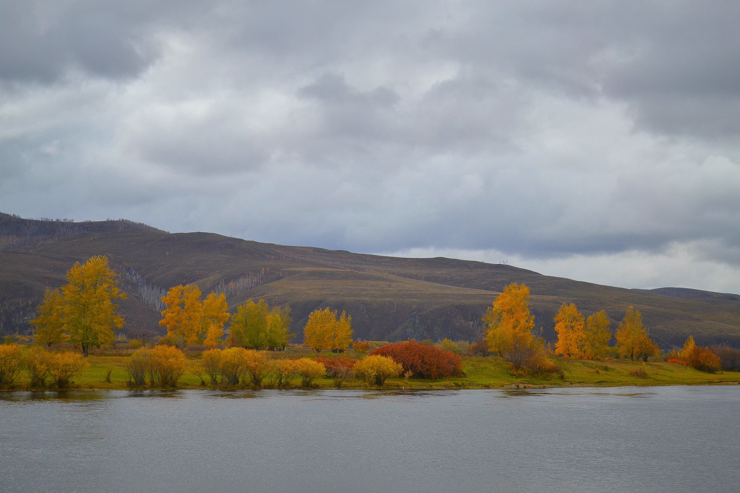 река аргунь