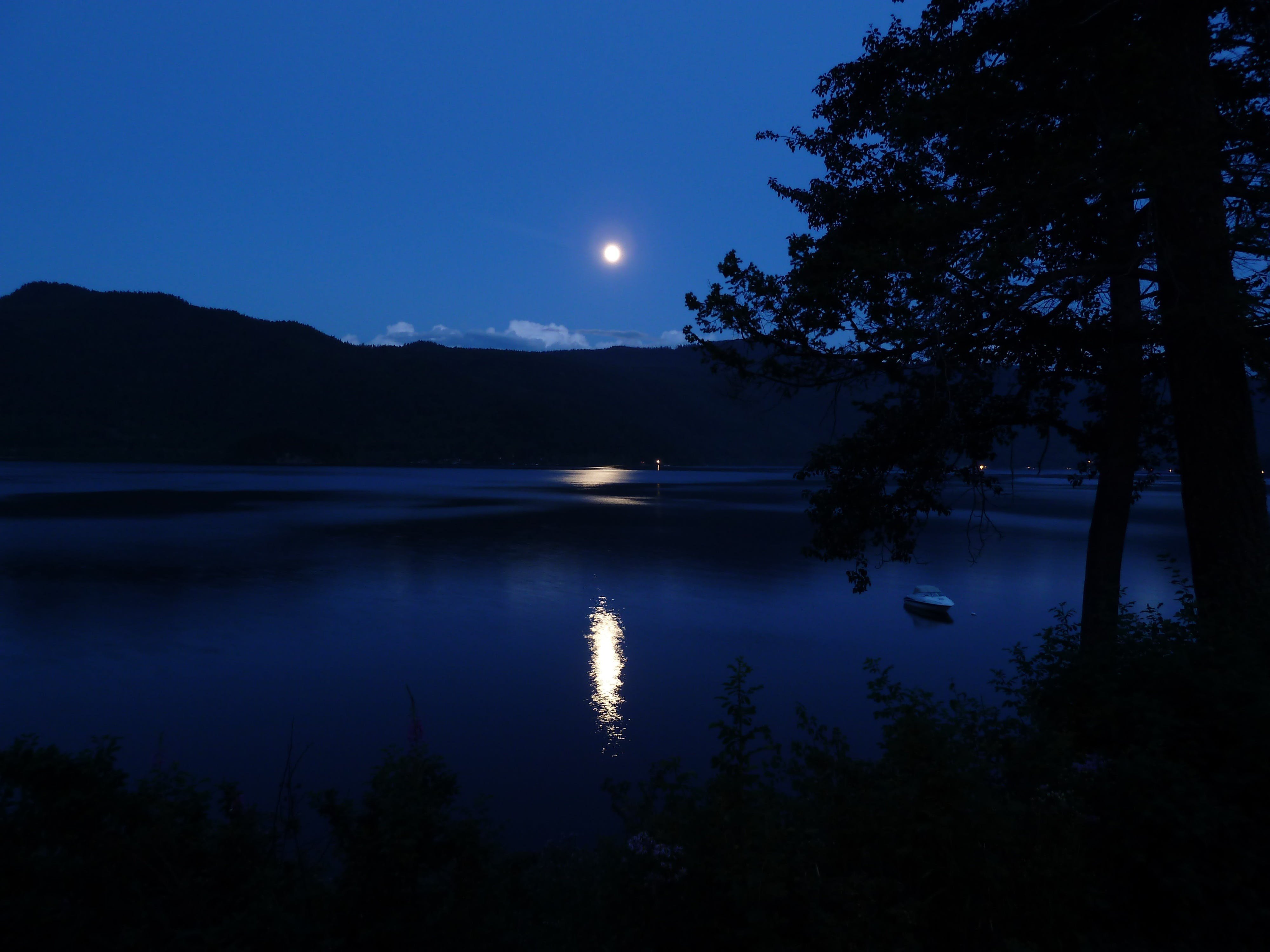 Музыка ночной пейзаж. Лунный свет над Фирвальдштетским озером. Ночное озеро. Озеро ночью. Берег озера ночью.