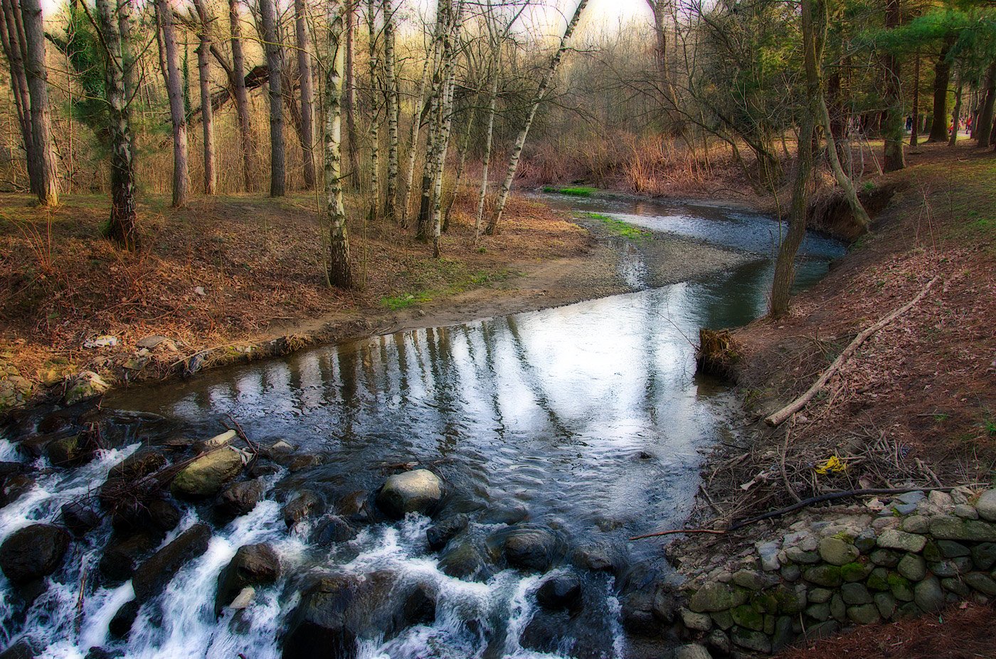 Весенняя река. Борислав природа. Лесная речка апрель. Весна на реке фото. Лес кружки река Весна.