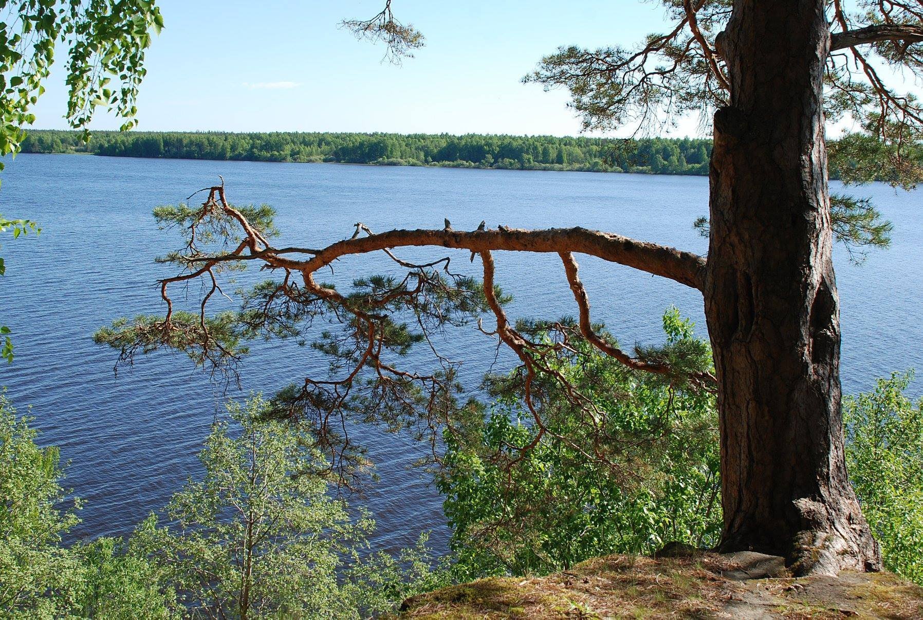 Берег волги фото