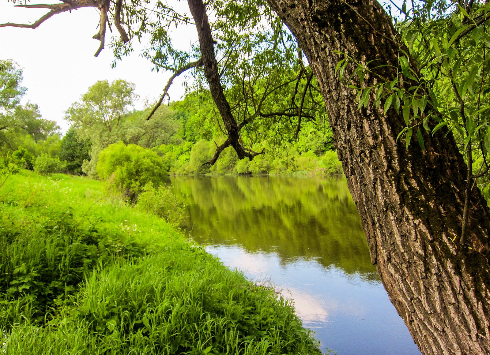 зарайский пляж