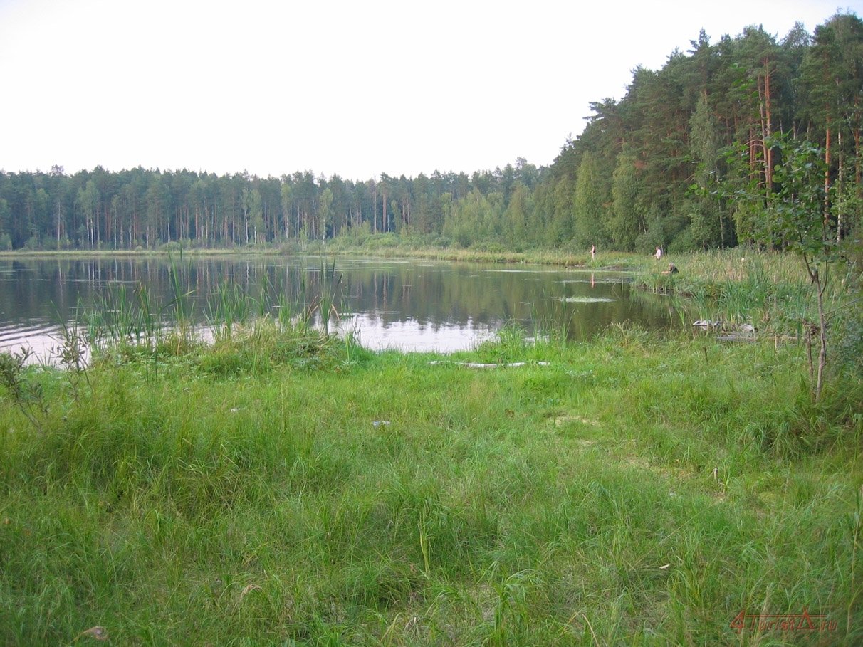 озера в щелковском районе