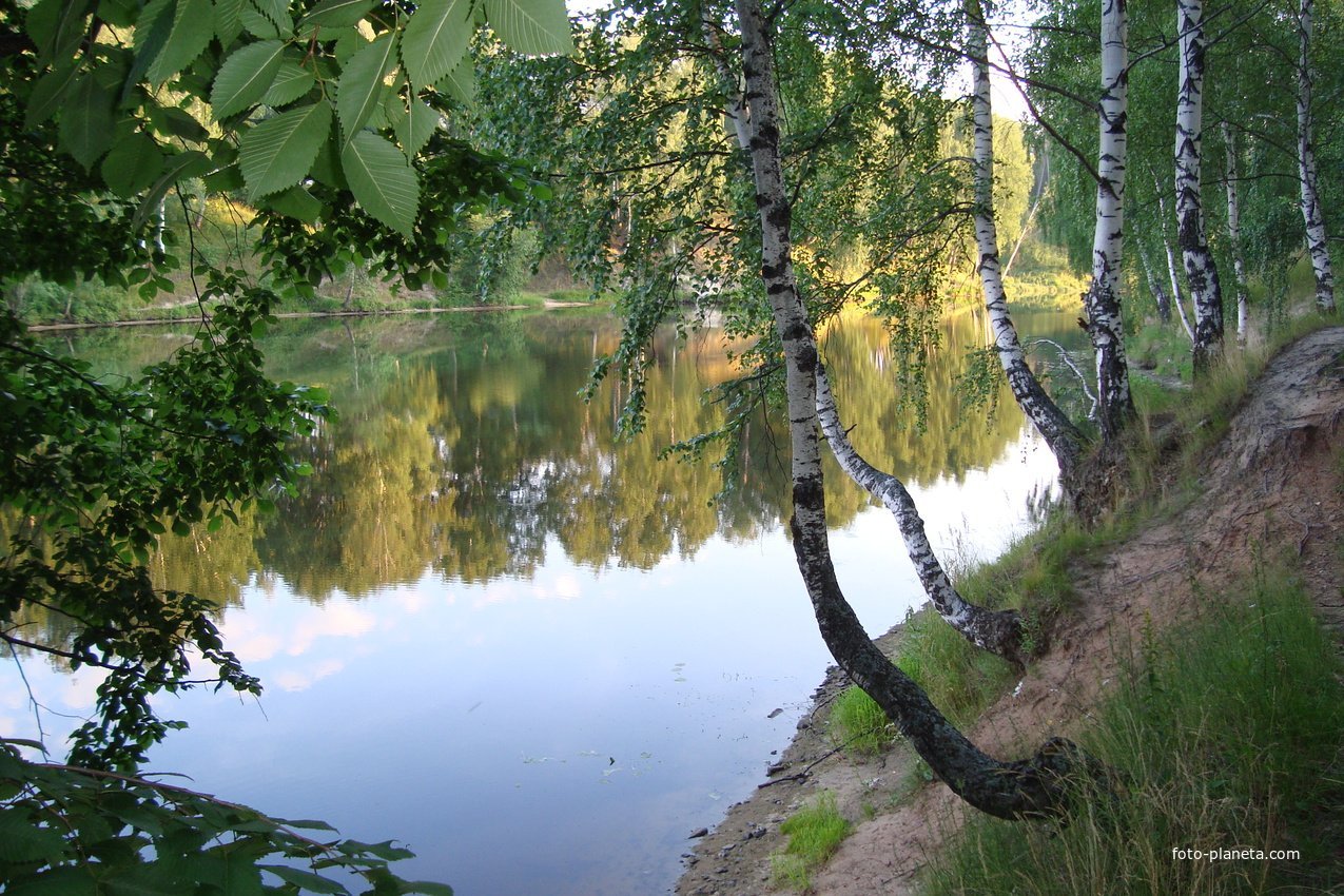 Белая речка городецкий. Река Узола Нижегородская область. Река Узола Городец. Городец речка Узола.