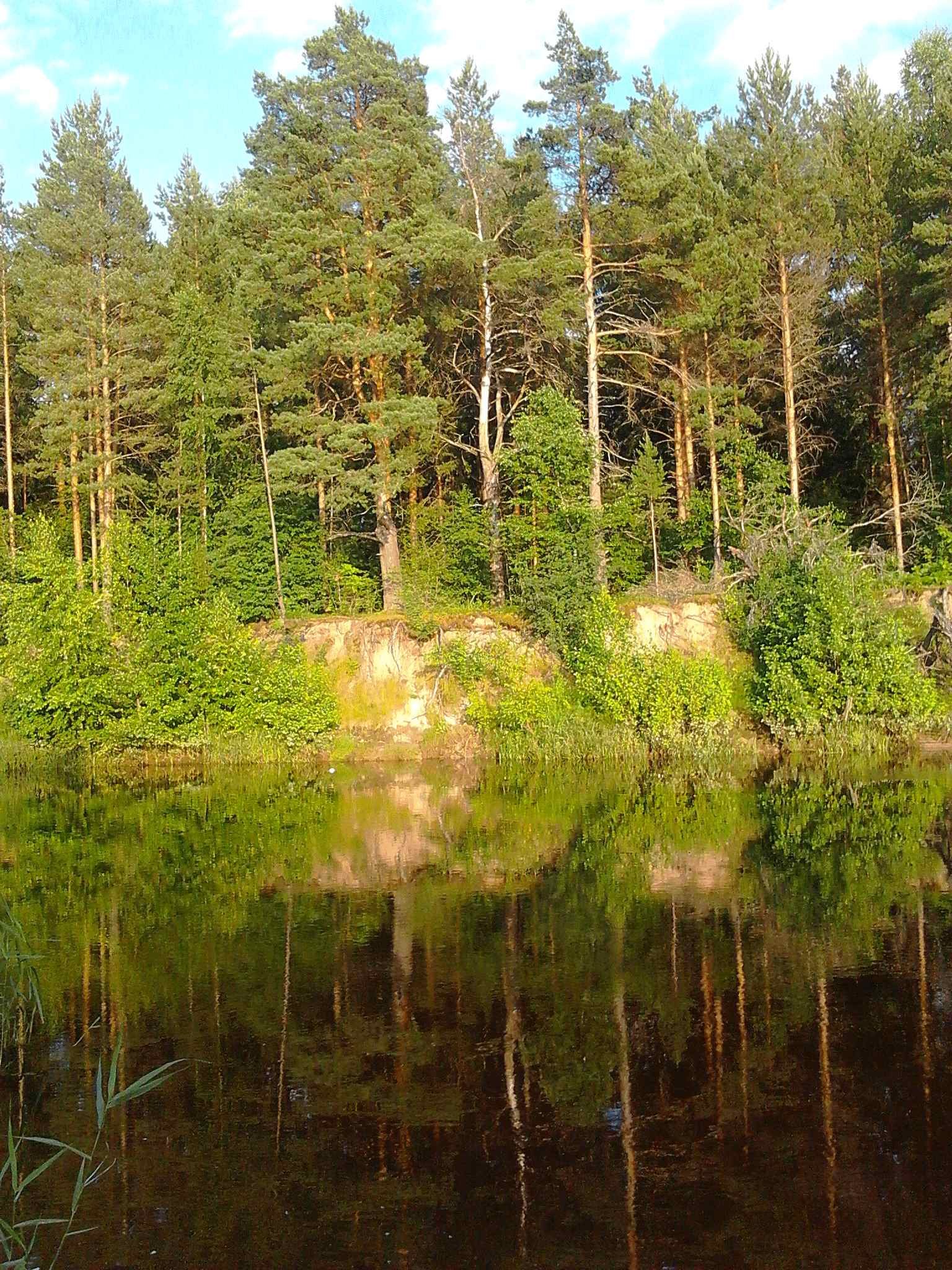 Керженские и чернораменские леса