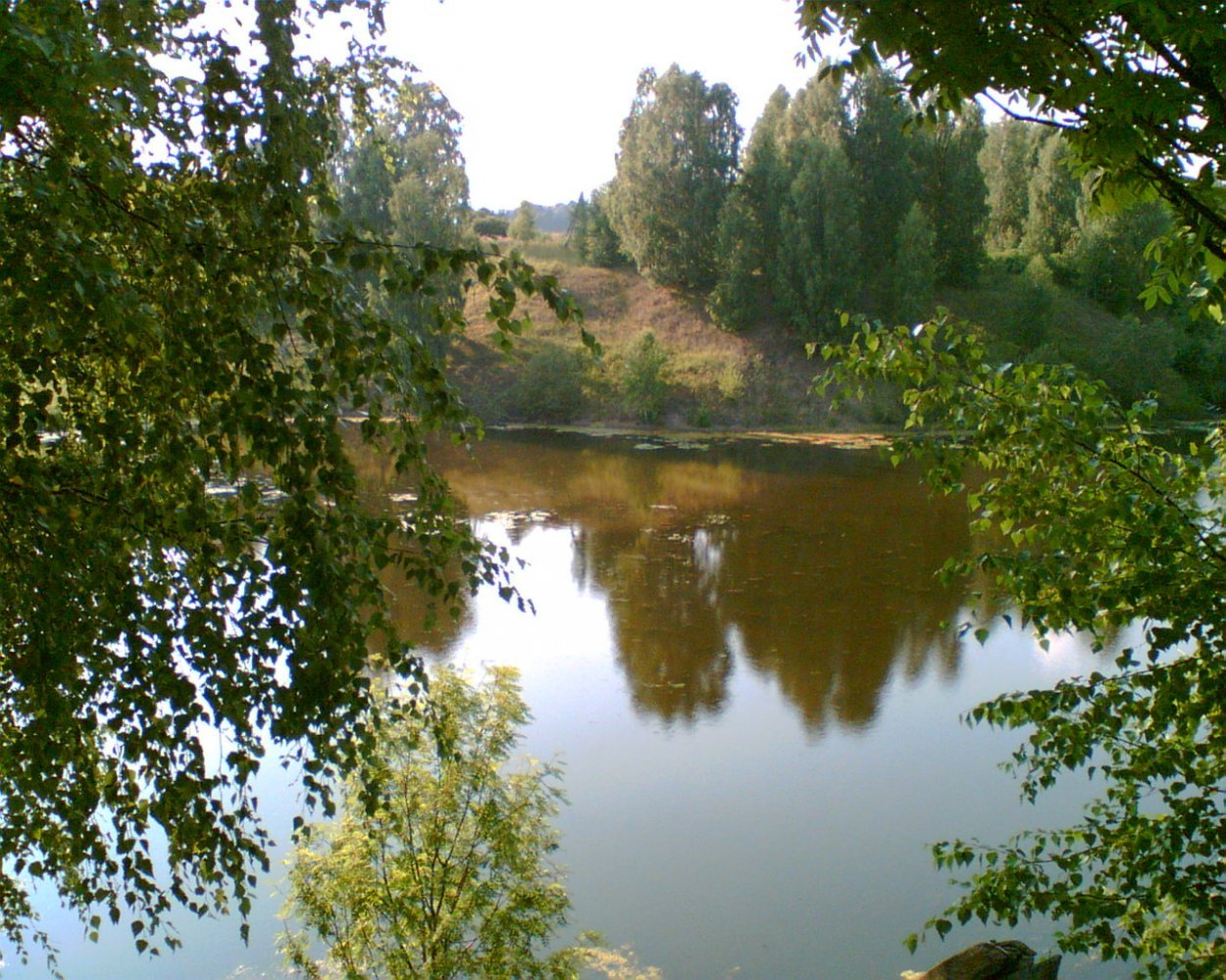 Река Хохломка Ковернино