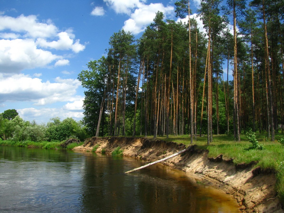 Озерцо река Белоруссия