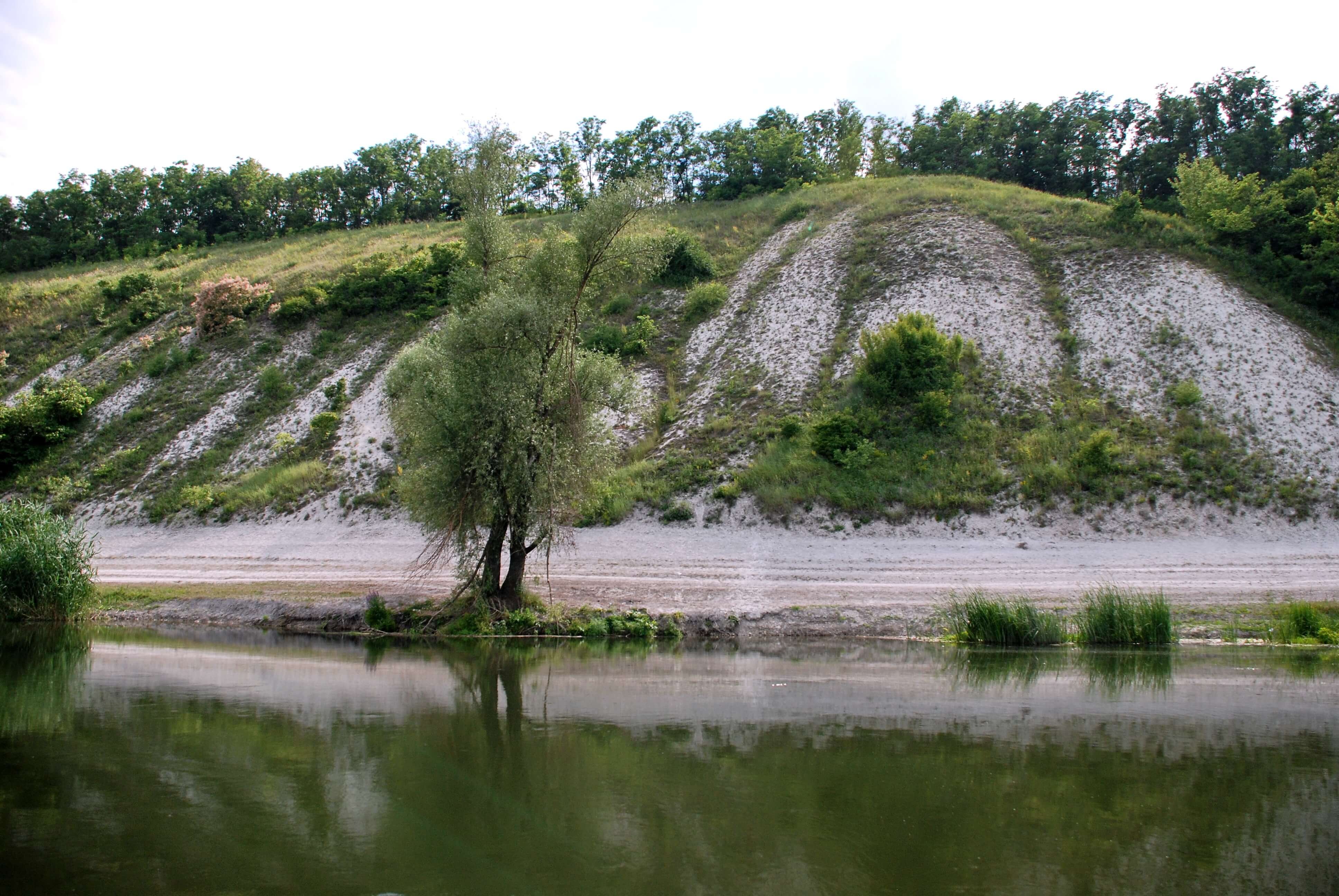 Белгородская область старый. Река Оскол в Купянске. Речка старый Оскол Купянск. Реки старого Оскола Белгородской области. Река Белгородской области харистика.