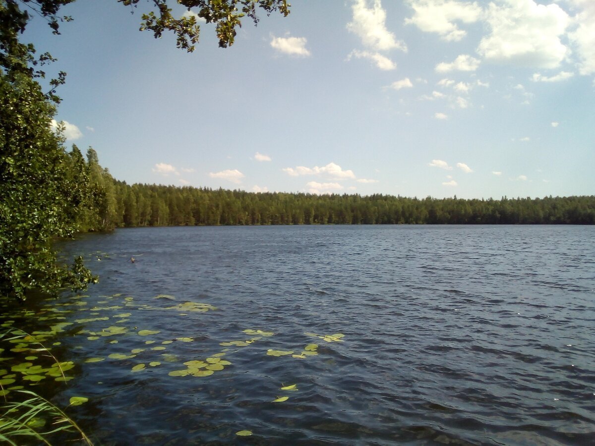 Сайвер Йошкар-Ола озеро