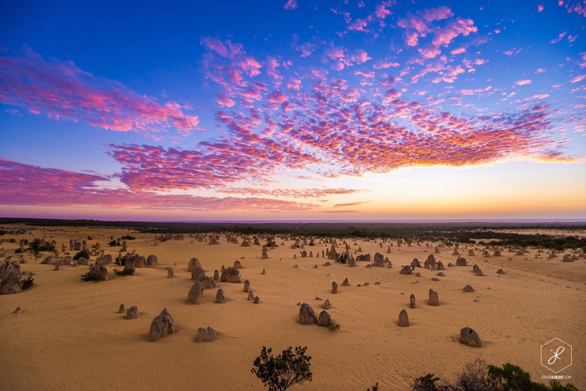 Природа австралии климат. Пустыни Австралии-Пиннаклс. Австралия природа. Буш полупустыни Австралии. Австралия пустыня Пиннакли.