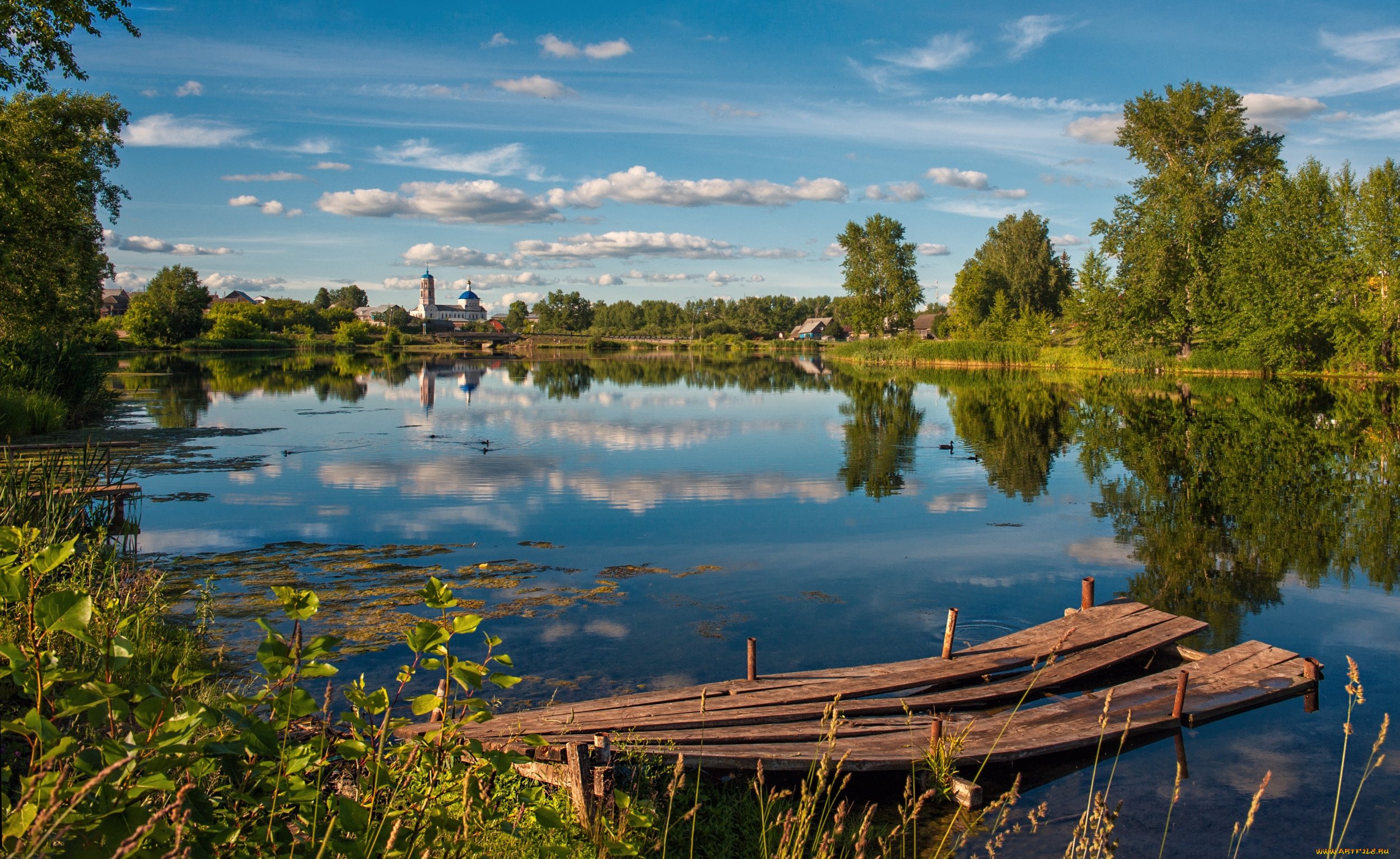 Русские летом на речке. Озеро Днико. Природа деревня река. Озеро в деревне. Дерево у озера.