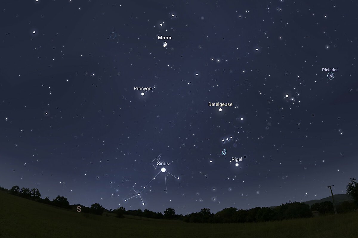 Сириус ярчайшая звезда ночного неба