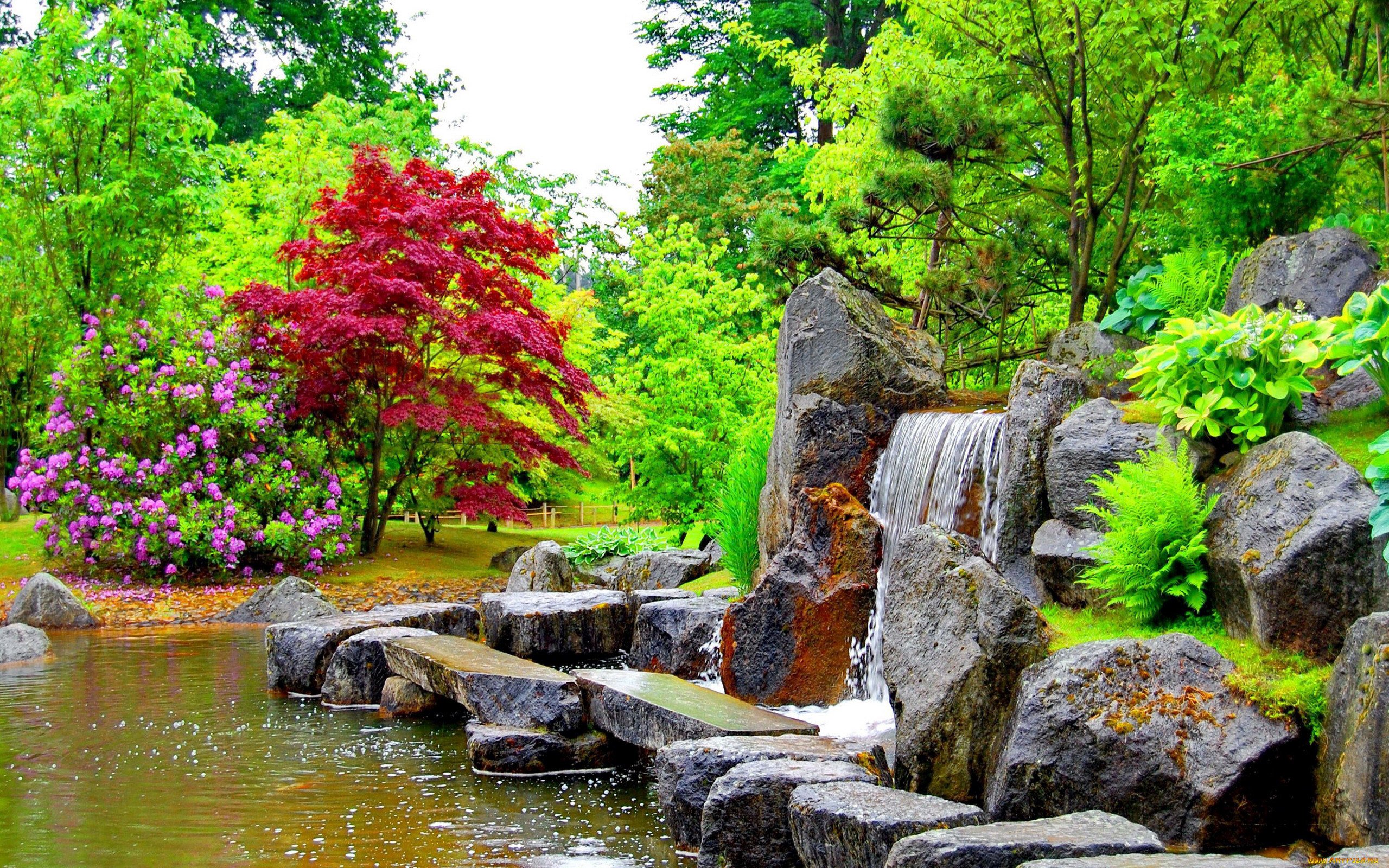 Японский сад своими руками: 23 фото-идеи | 23 фото