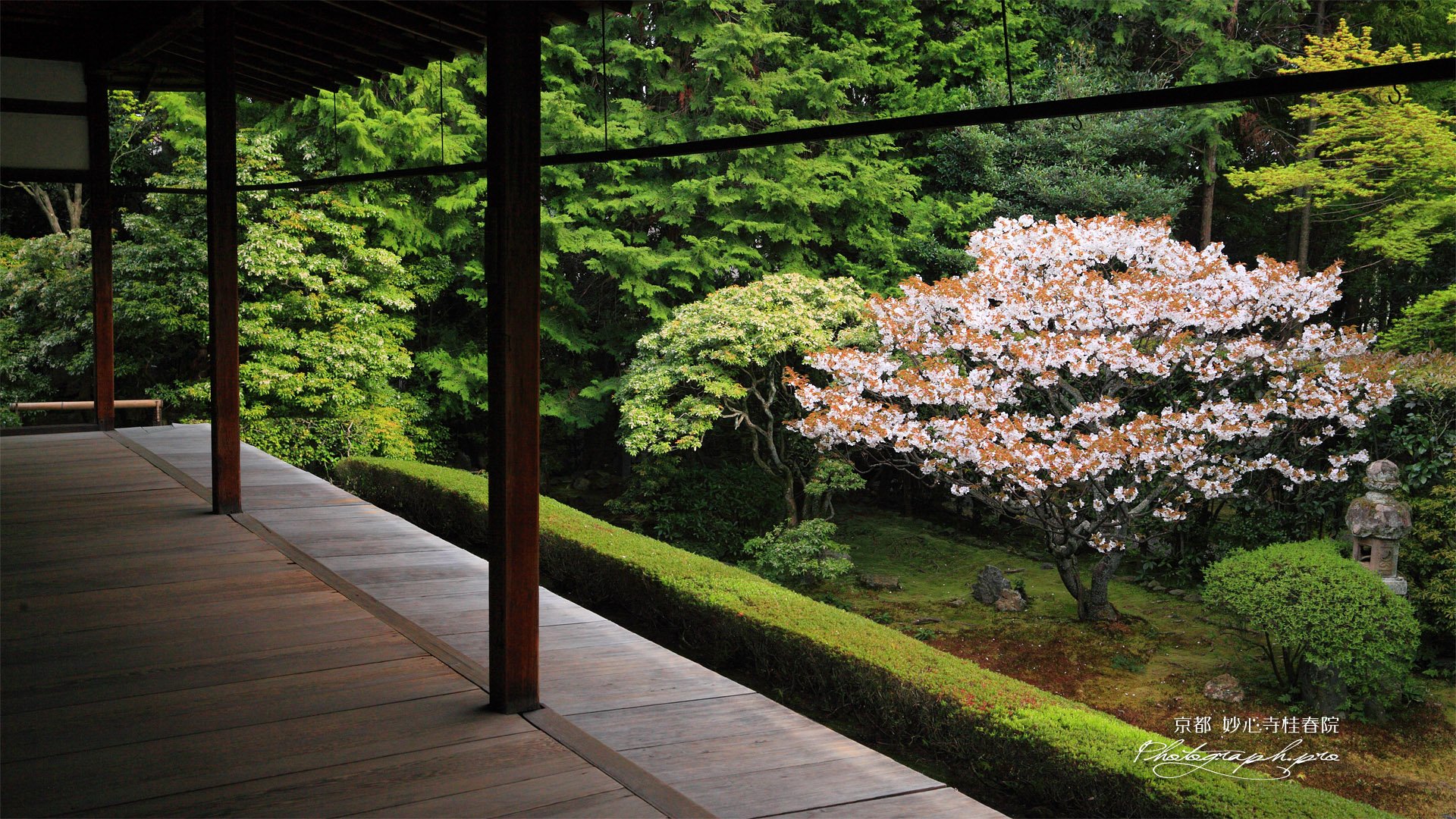 Забронировать столик в японском саду. Сад Цукияма в Японии. Тропа философа Киото. Японский сад на столе. Сад камней в Японии.