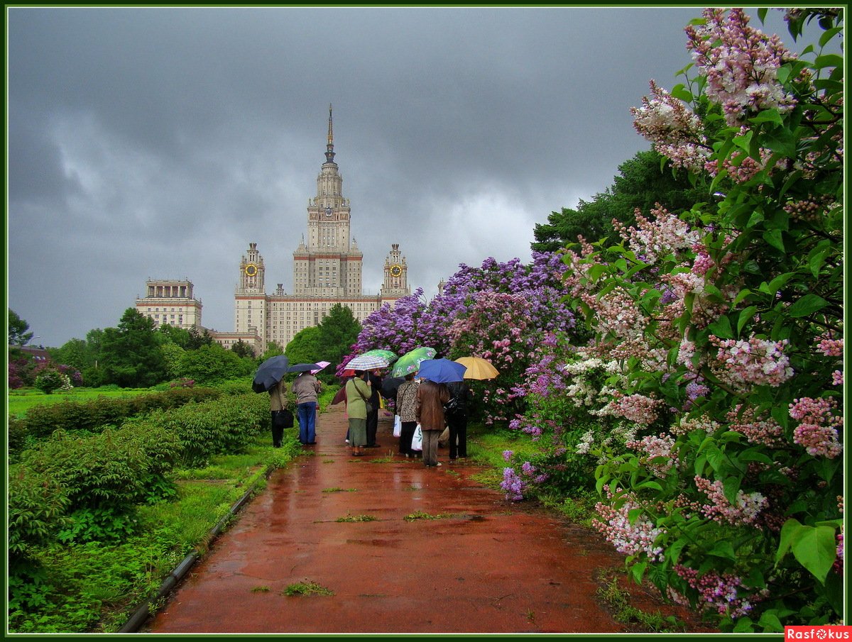 сиреневый парк в москве