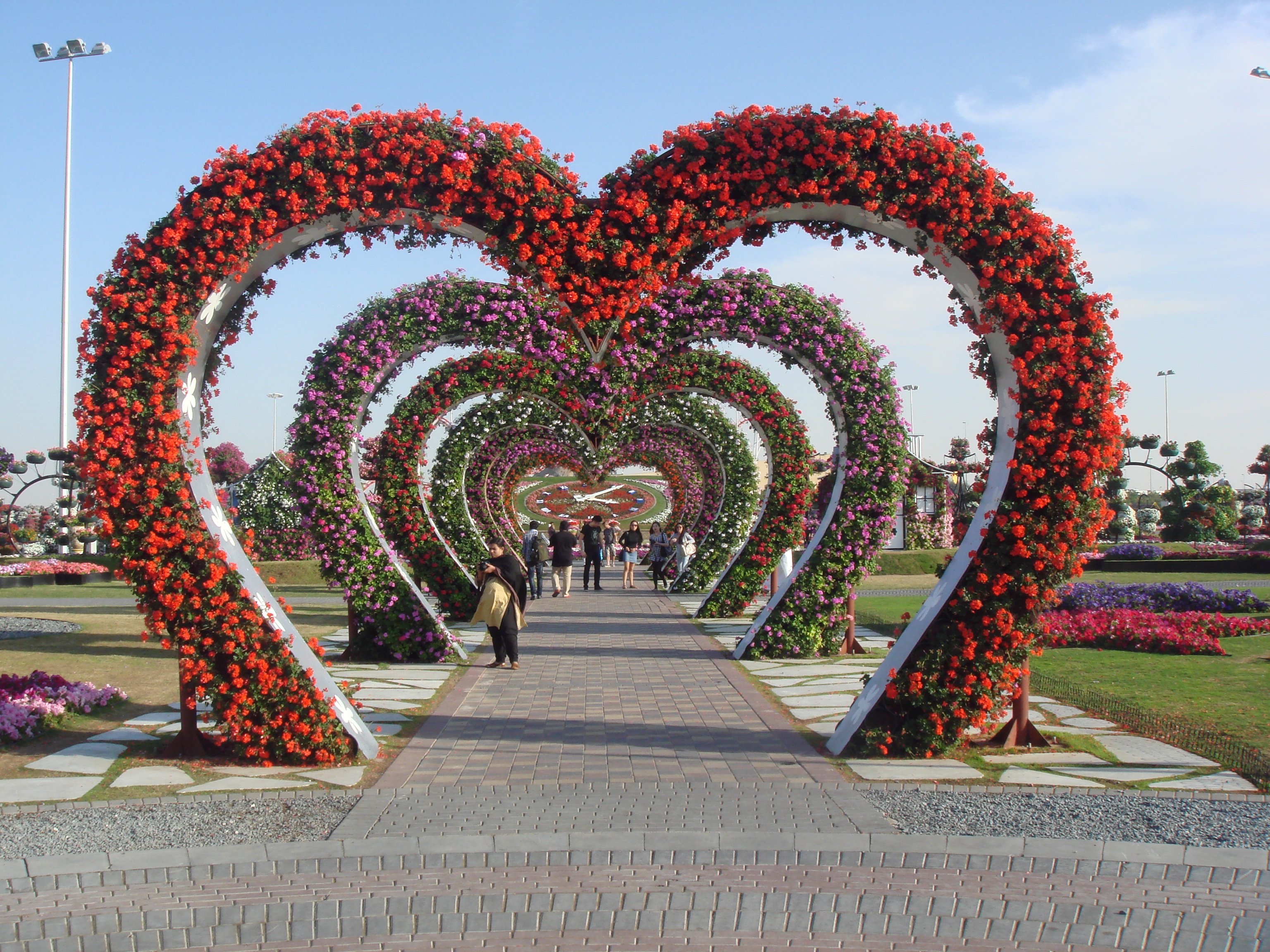 Некому мне засадить всю аллею. Сад чудес (Miracle Garden). Сад чудес в Дубае. Miracle Garden Дубай. Парк сад чудес в Дубае ОАЭ.