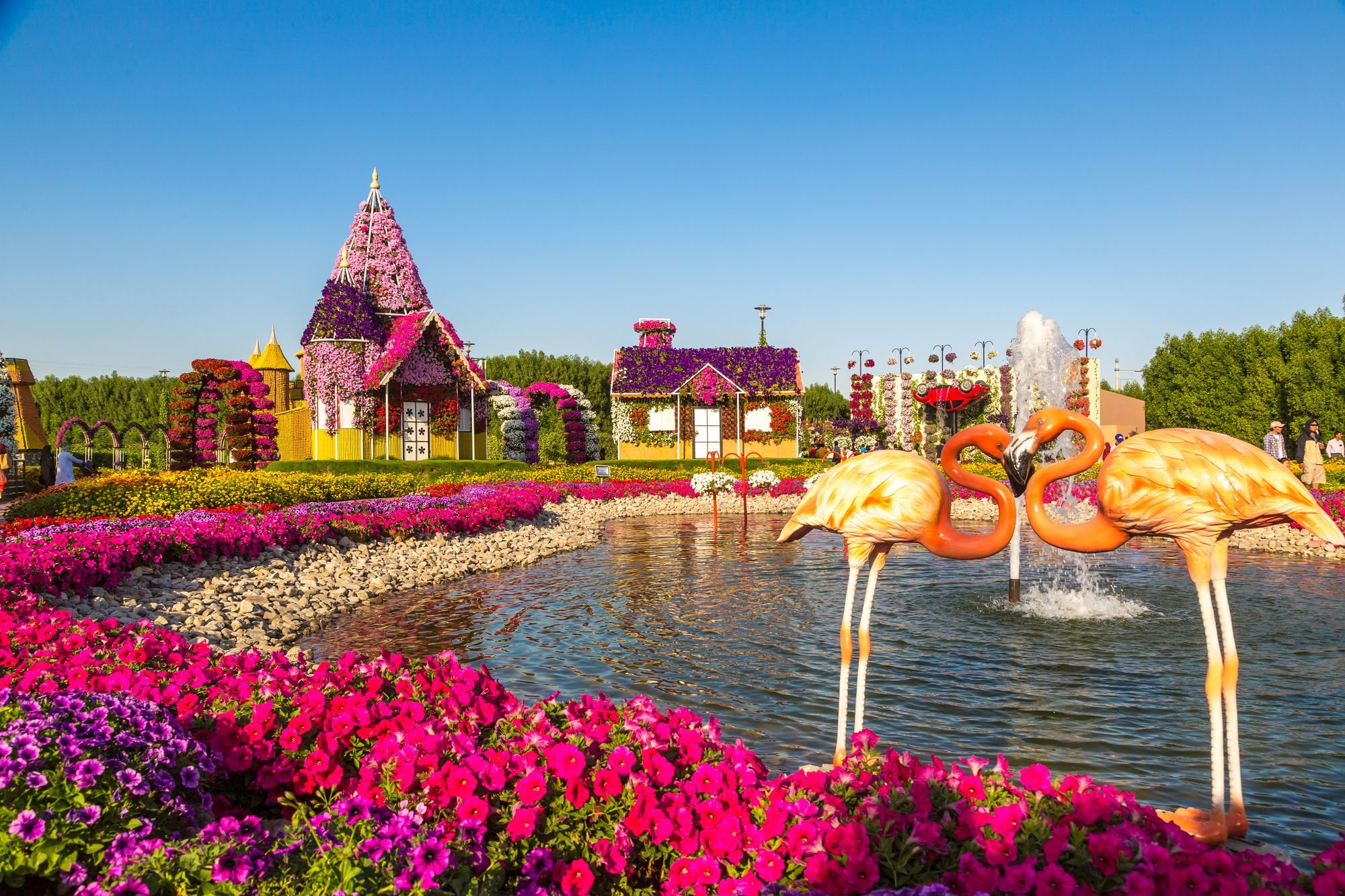 Парк в дубае. Миракл Гарден Дубай. Сад чудес в Дубае. Парк цветов Dubai Miracle Garden. Миракл парк в Дубае.