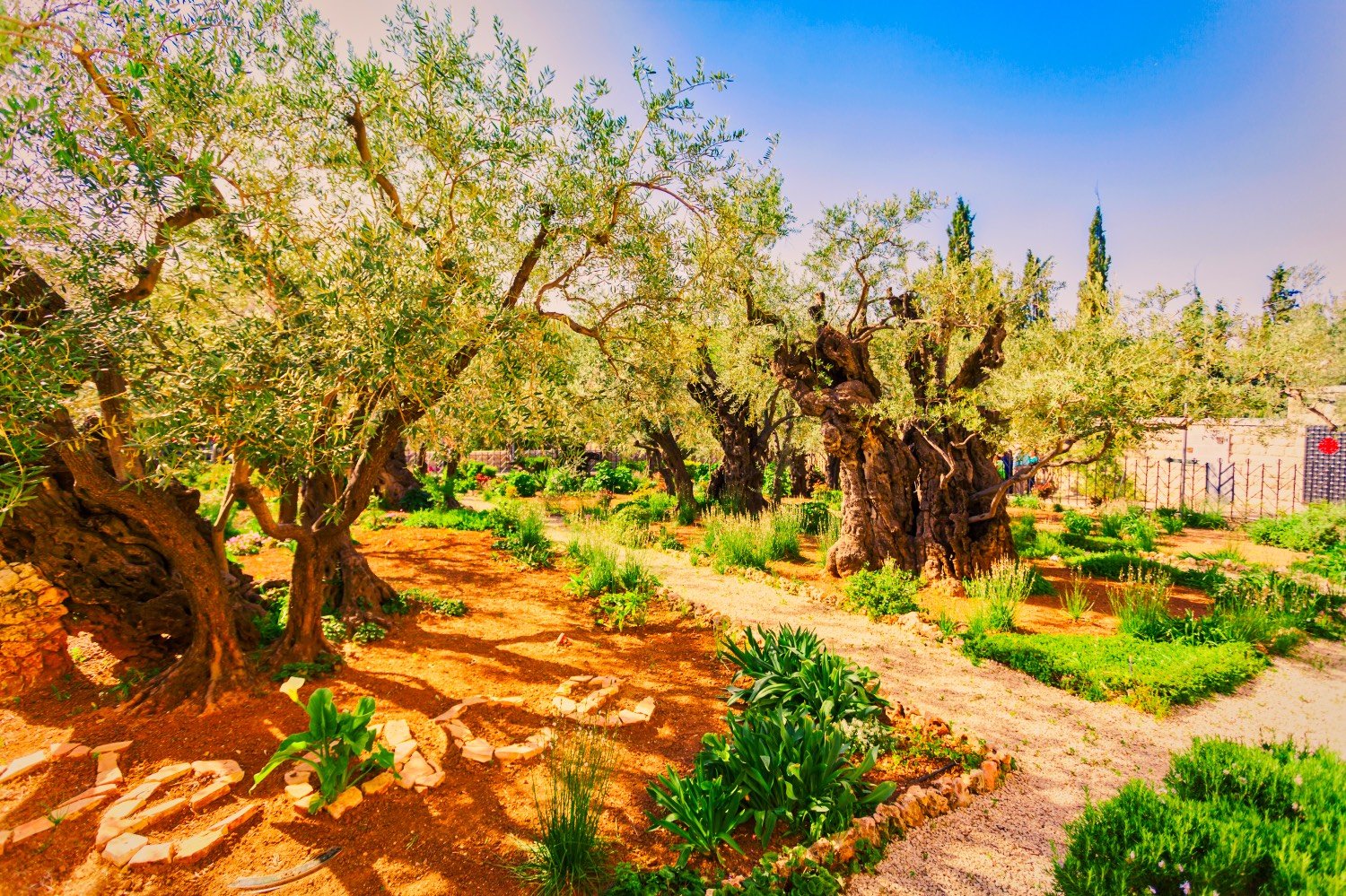 вифлеемский сад в иерусалиме