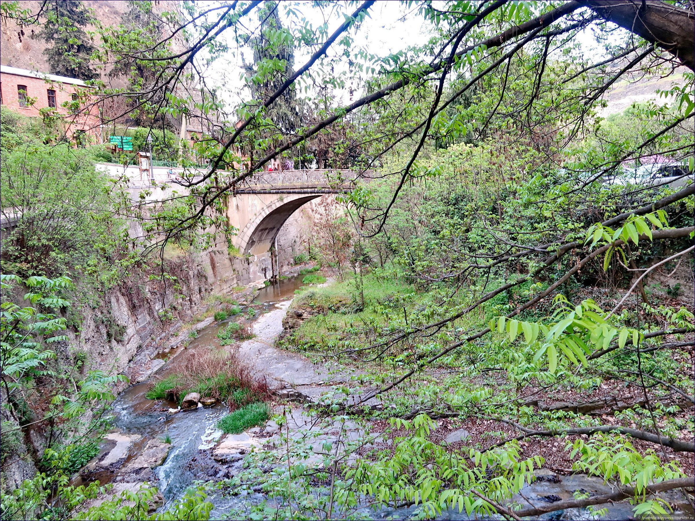 Ботанический сад Тбилиси мост царицы